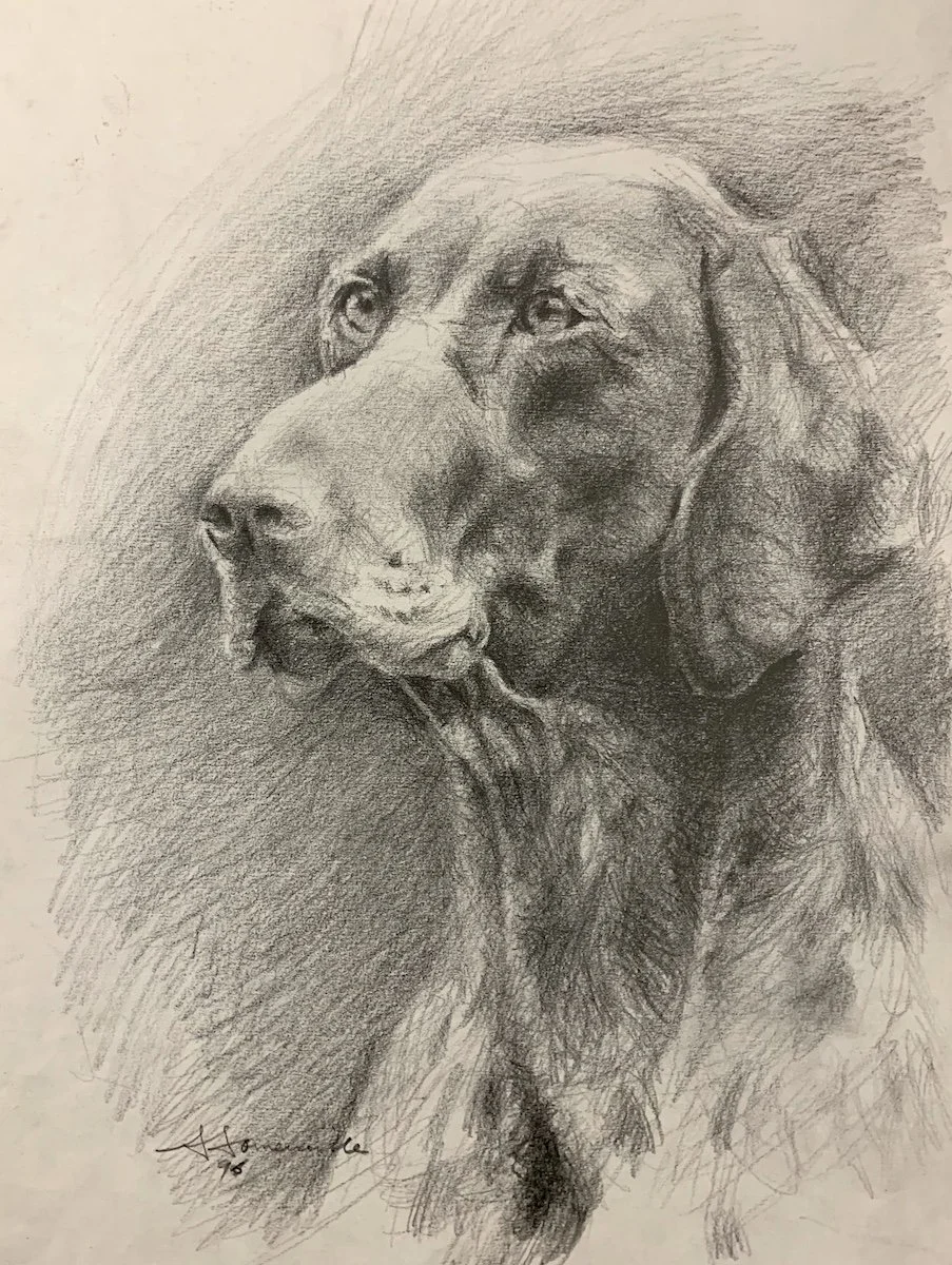 A detailed pencil sketch of a dog, showing the dog's face and upper body.