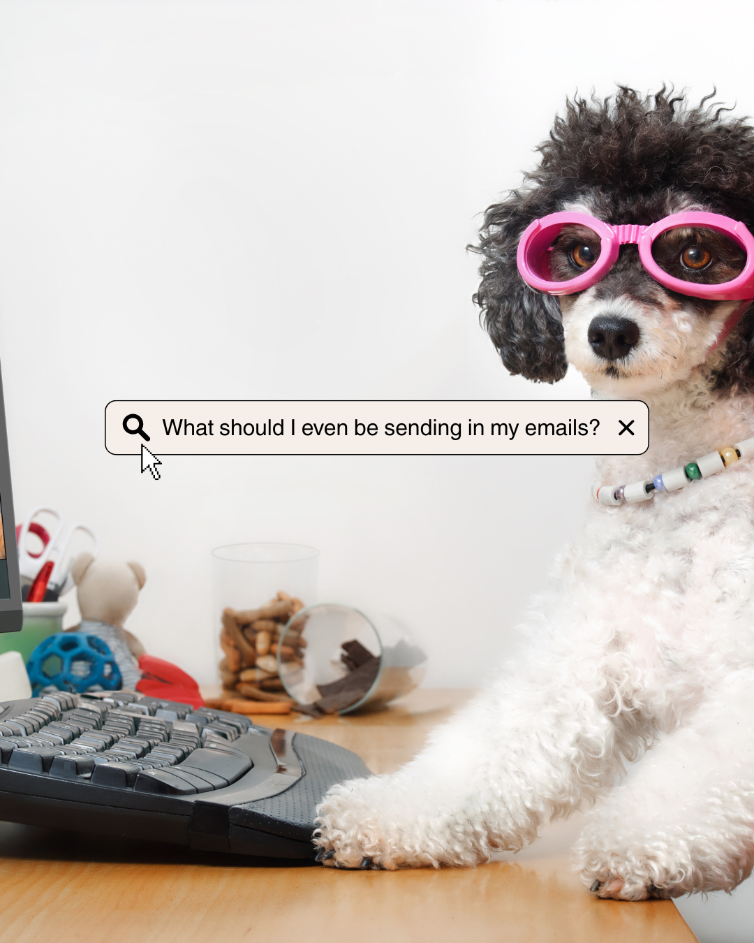 Monthly Email Marketing