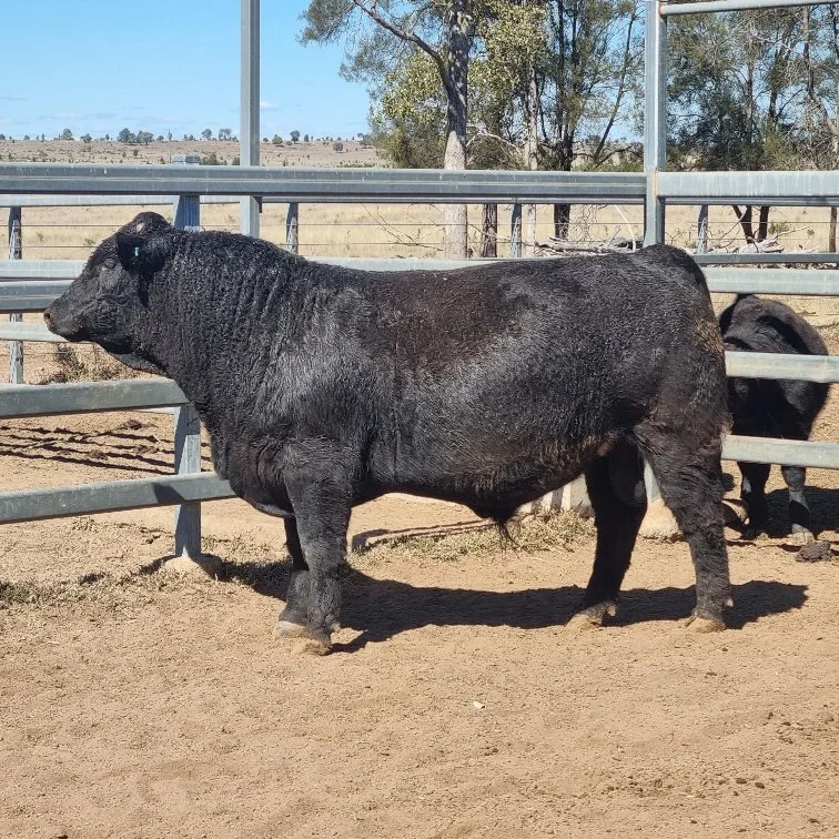 Lot 1 - Huron Park Valour V270