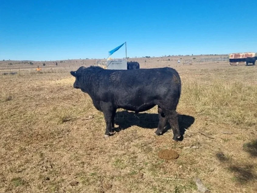 Lot 4 - Huron Park  Vanguard  V276