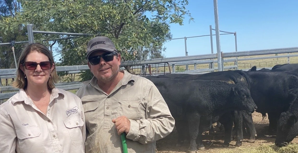 Clare & Justin Humphreys outdoors near a cattle pen with black cows, some with their heads lowered. The woman wears sunglasses and a light-colored shirt with a name tag, and the man has sunglasses, a cap, and a beige shirt, holding a green tool.