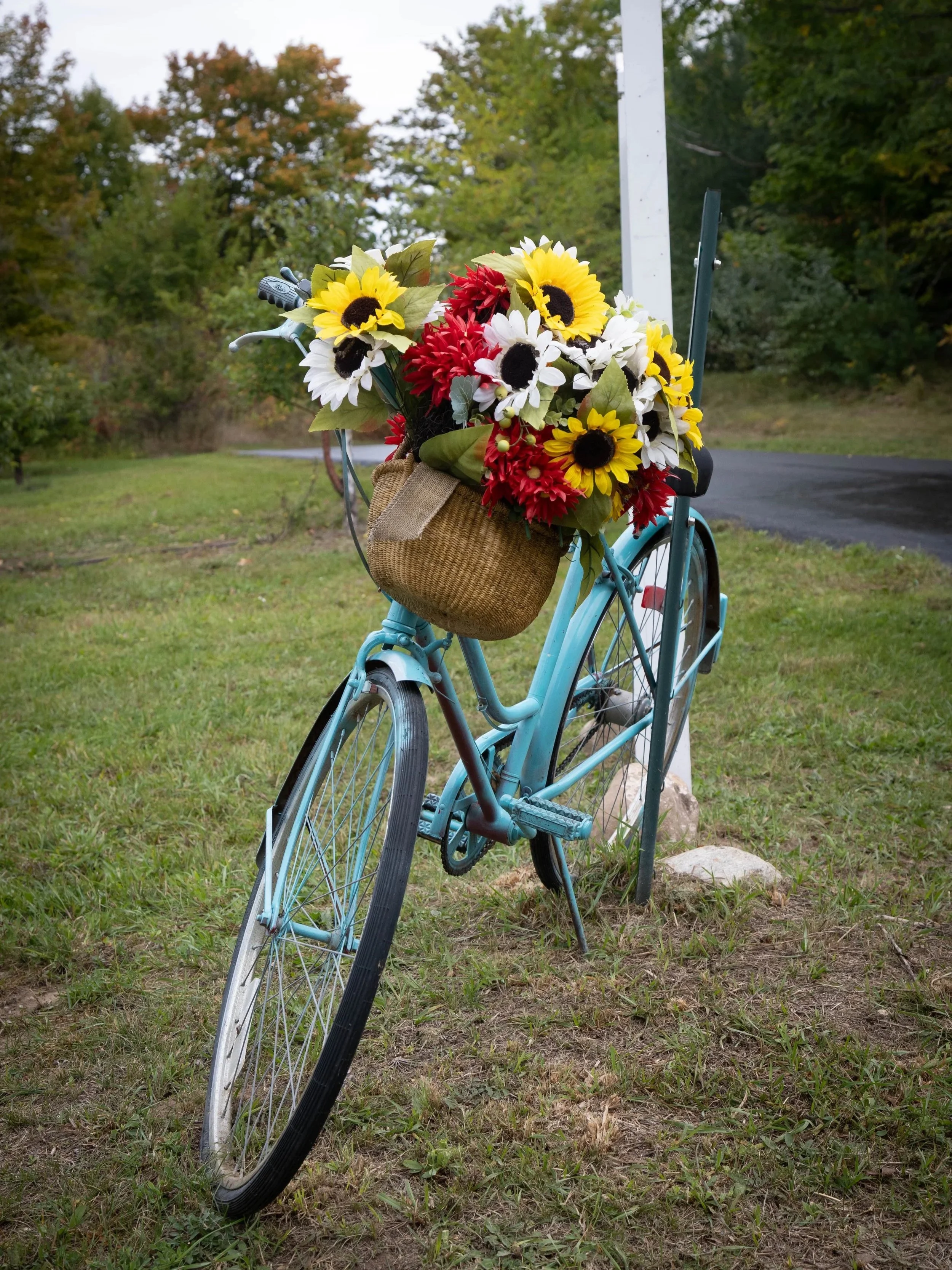 Traverse+city-12.jpg