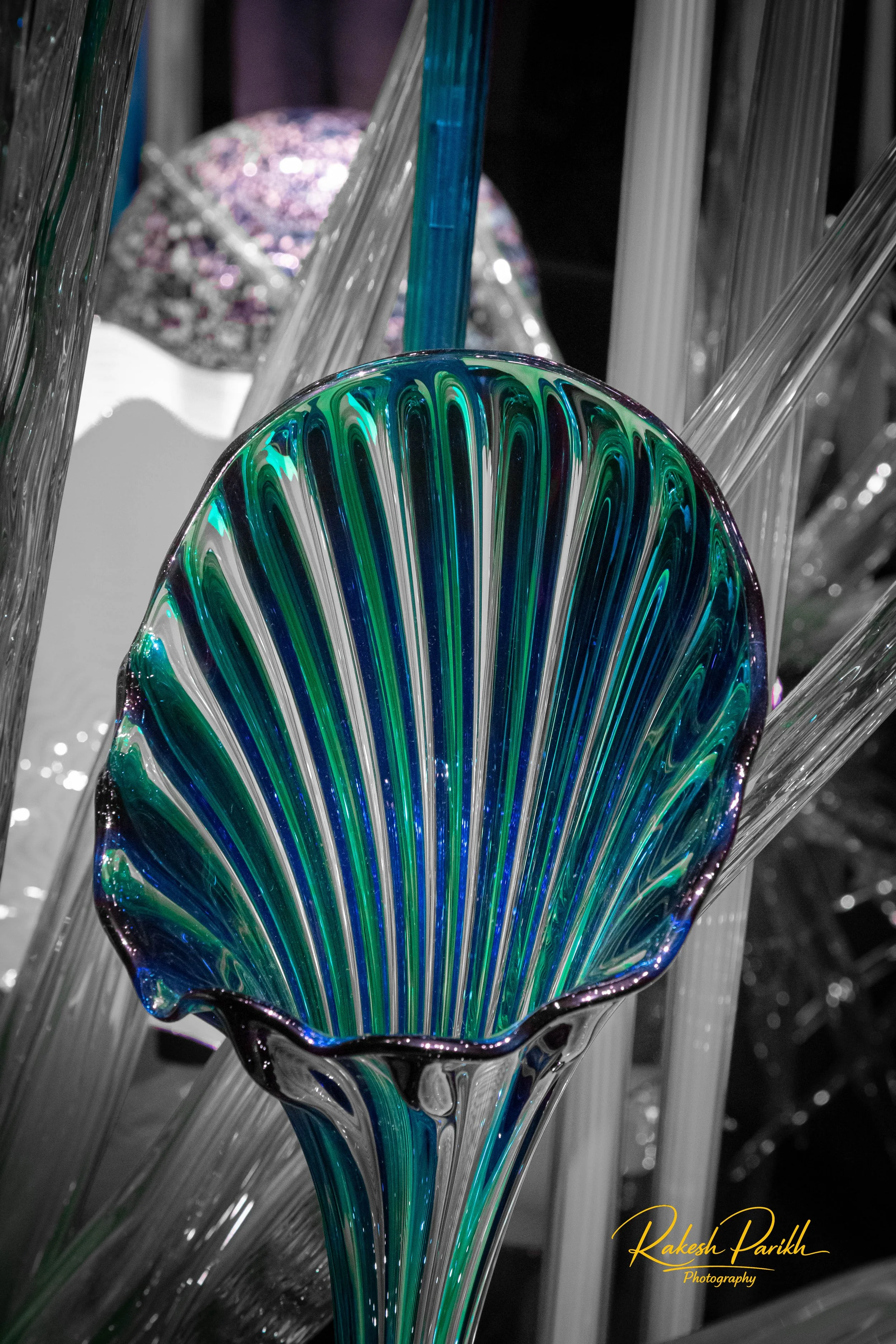 tulips and glass-13.jpg