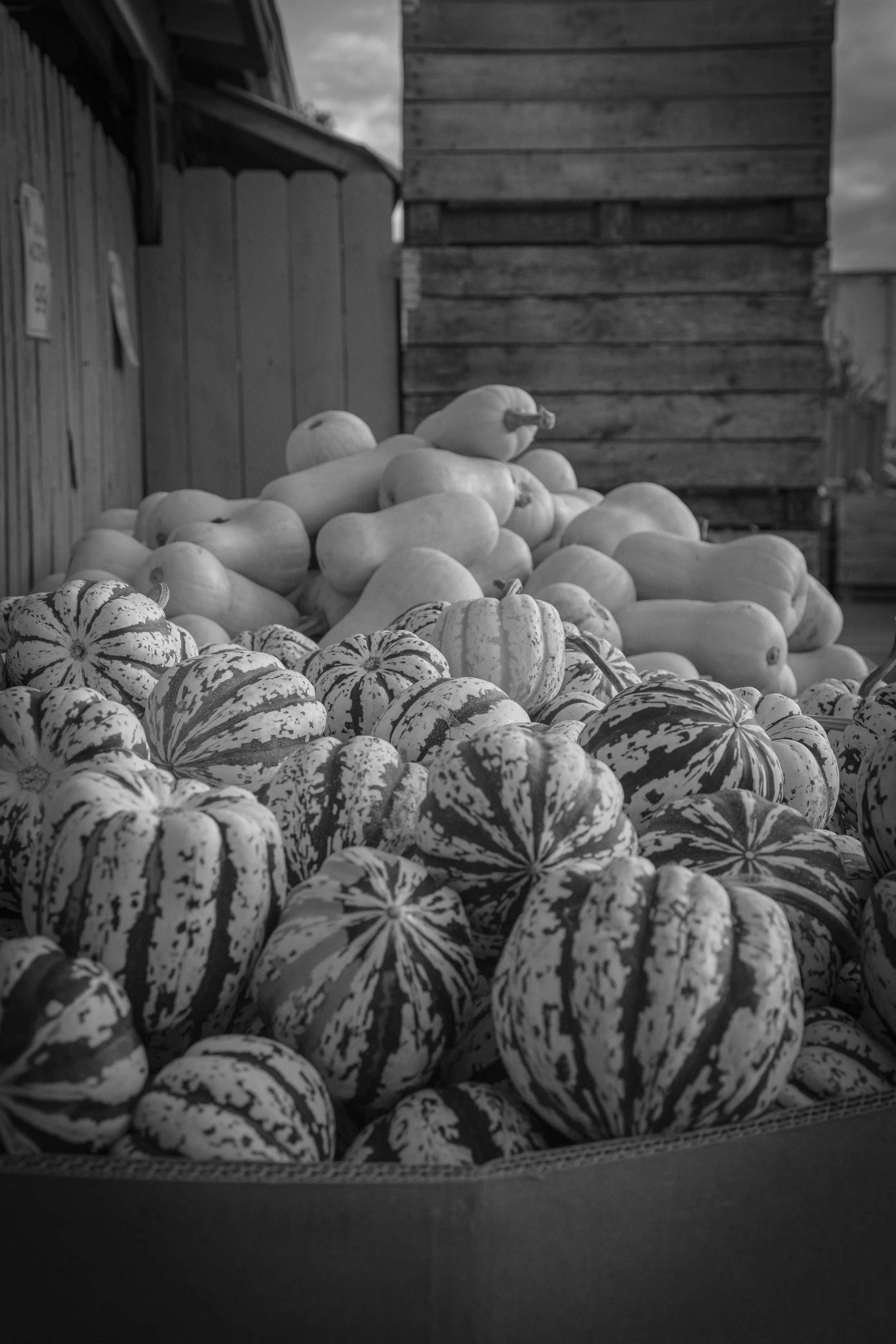 Traverse city-35.jpg