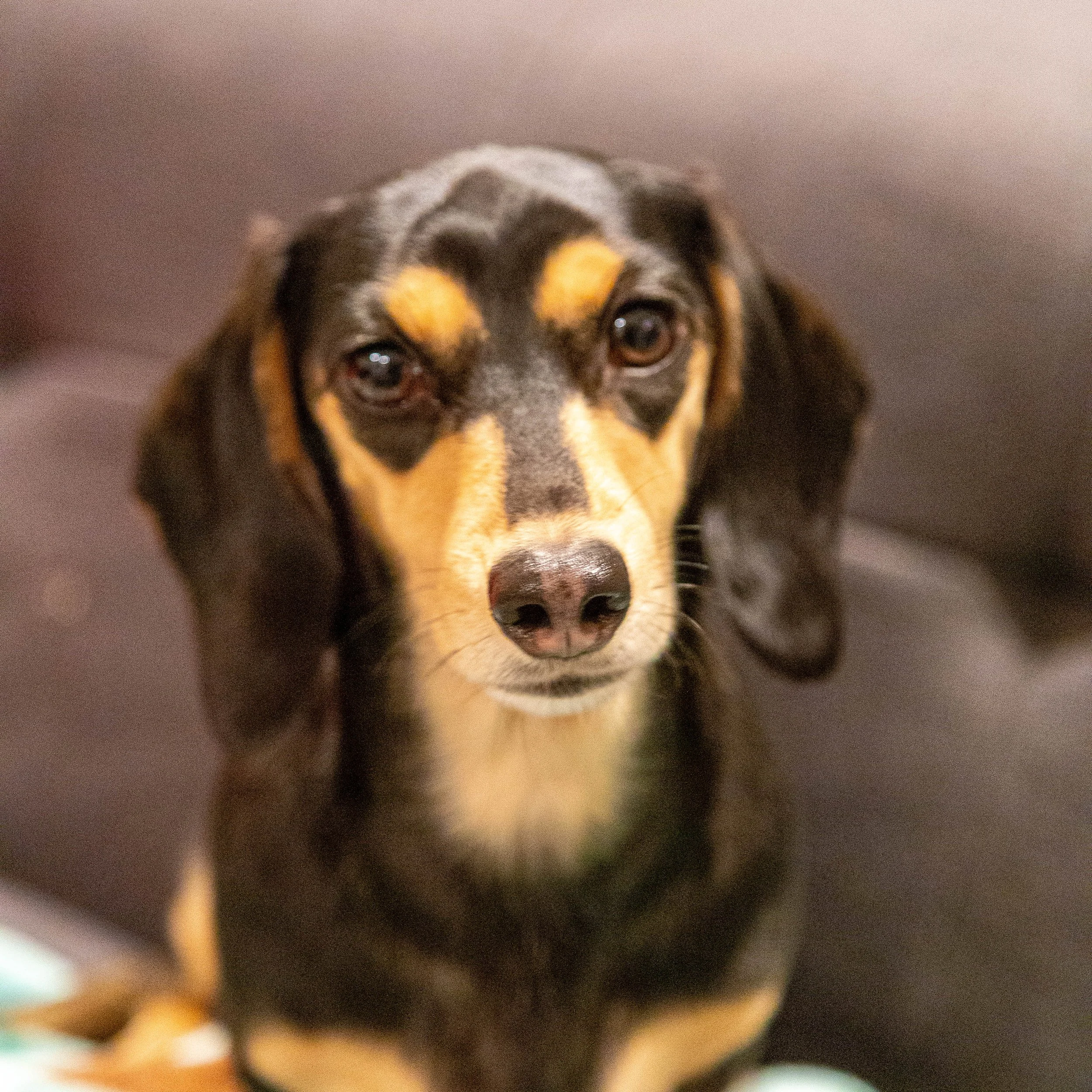 Winter ball 2023-1.jpeg