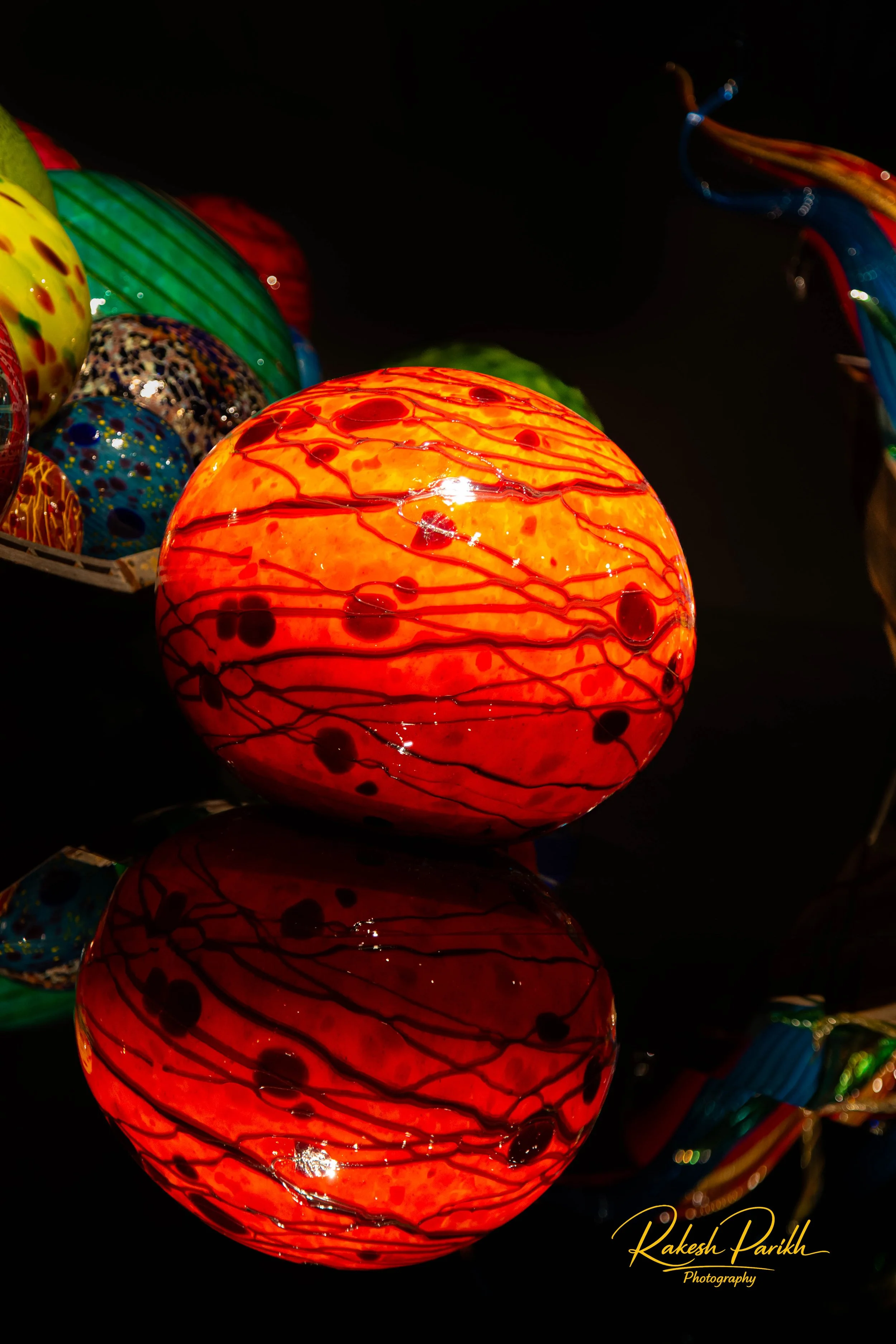 tulips and glass-17.jpg