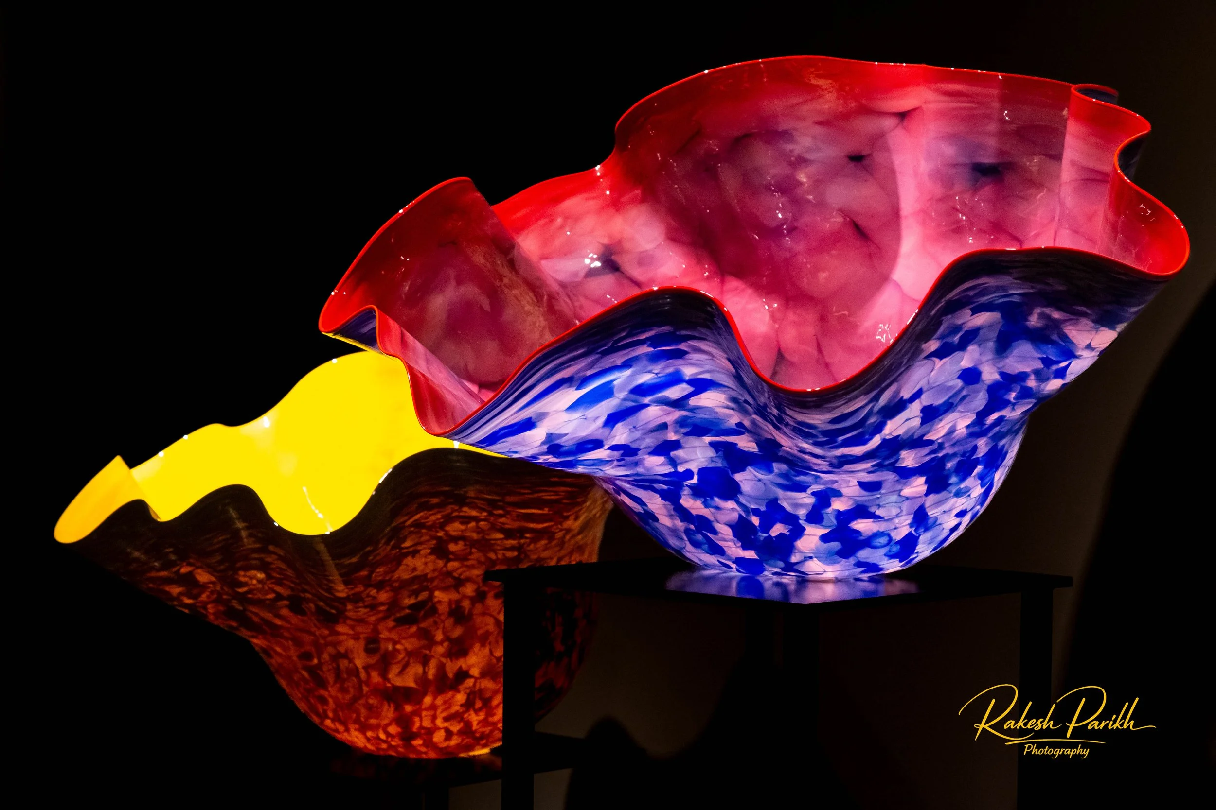 tulips and glass-23.jpg