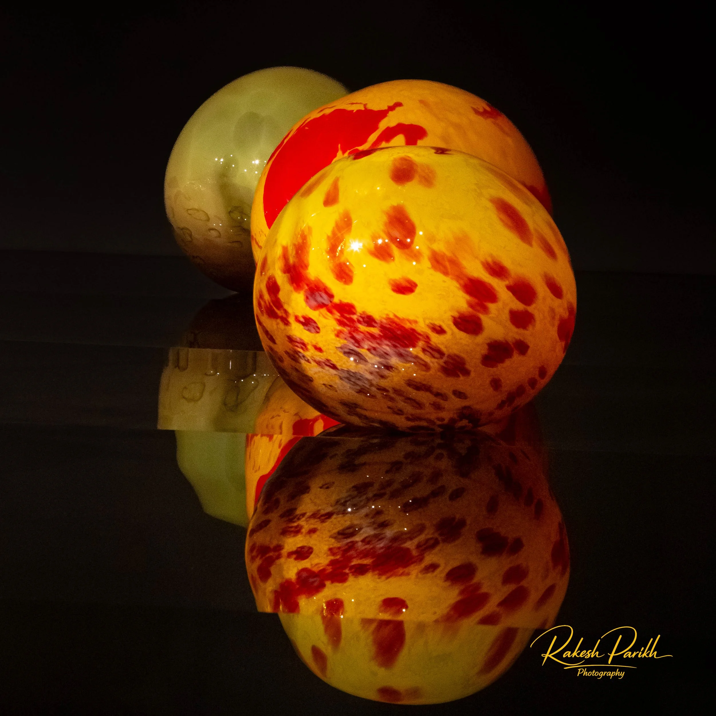 tulips and glass-19.jpg