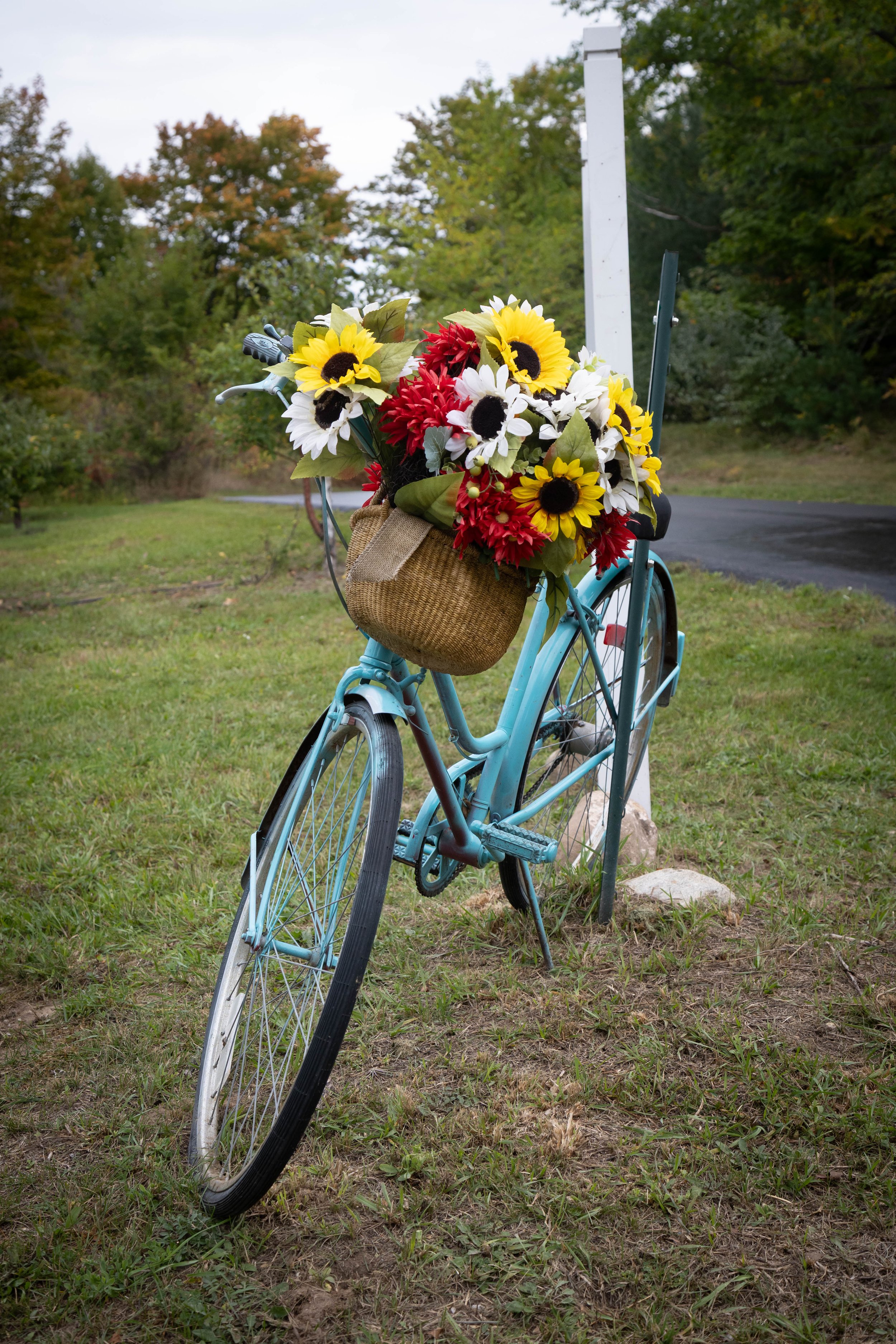 Traverse city-12.jpg