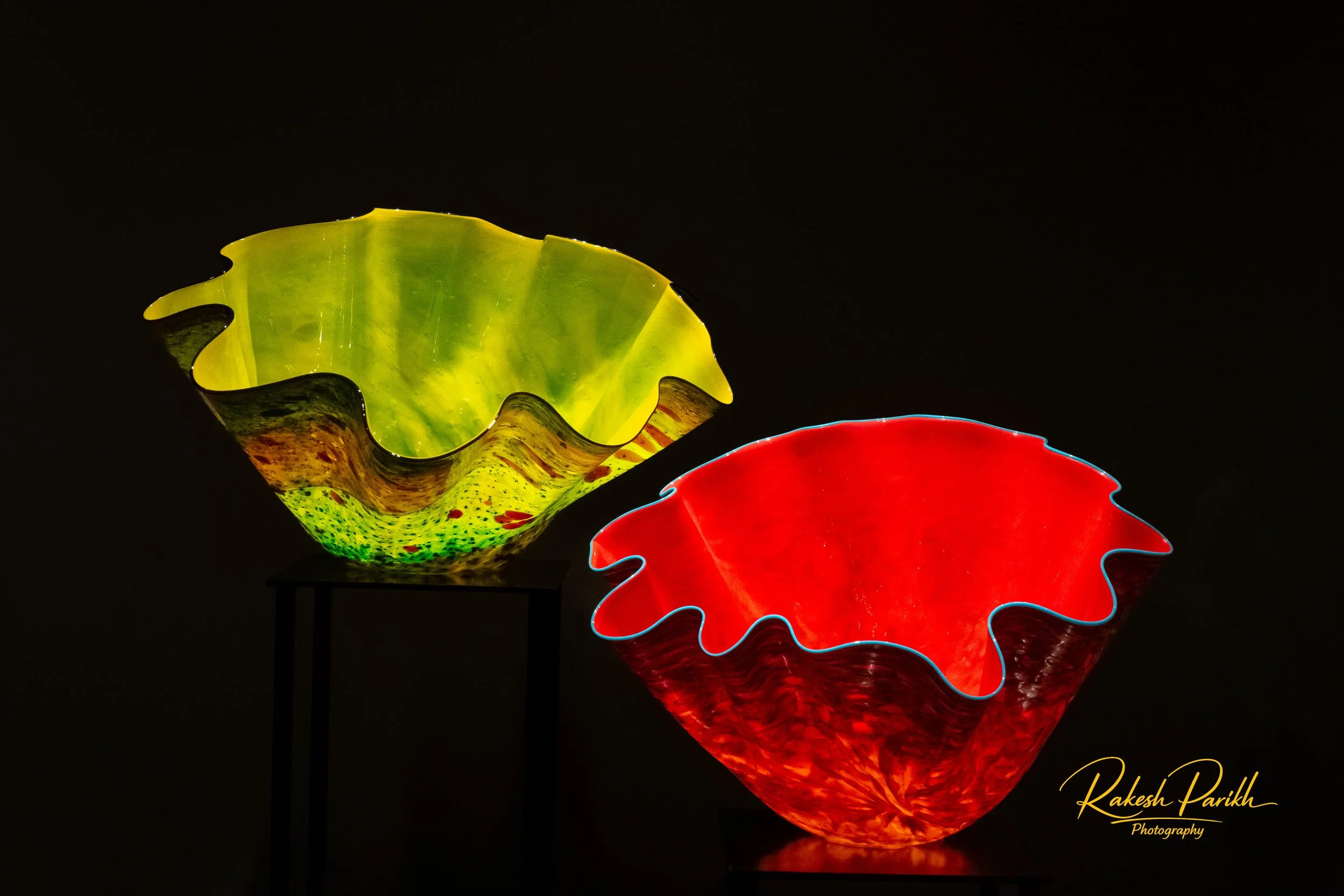 tulips and glass-20.jpg