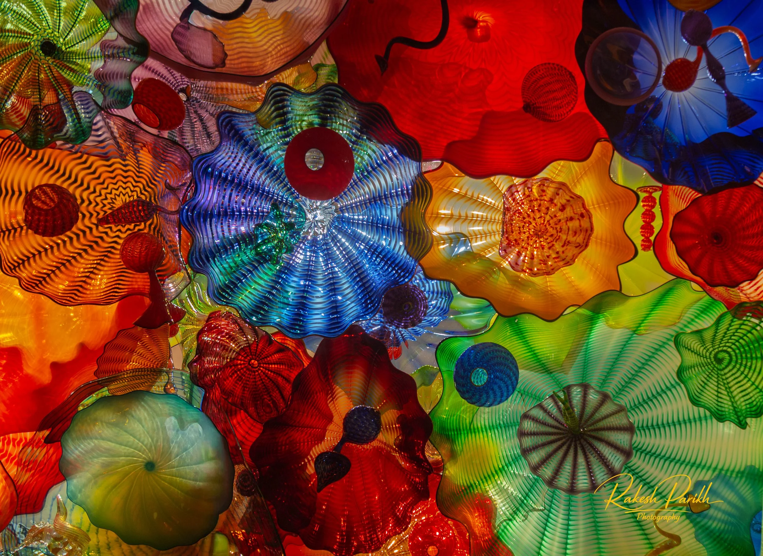 tulips and glass-12.jpg