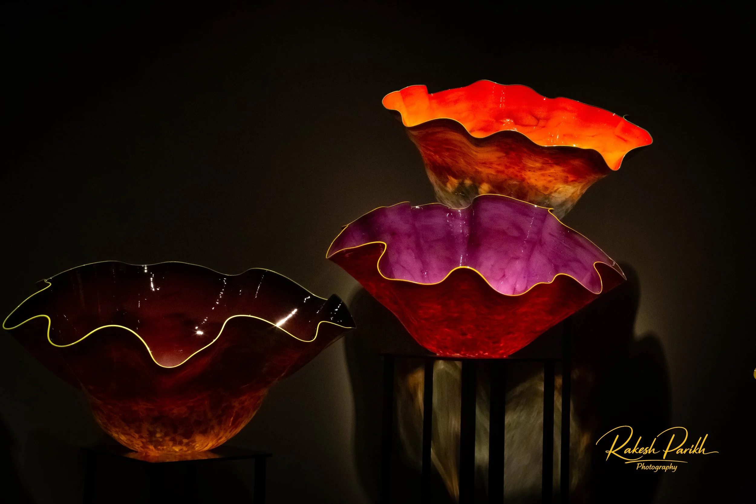 tulips and glass-21.jpg