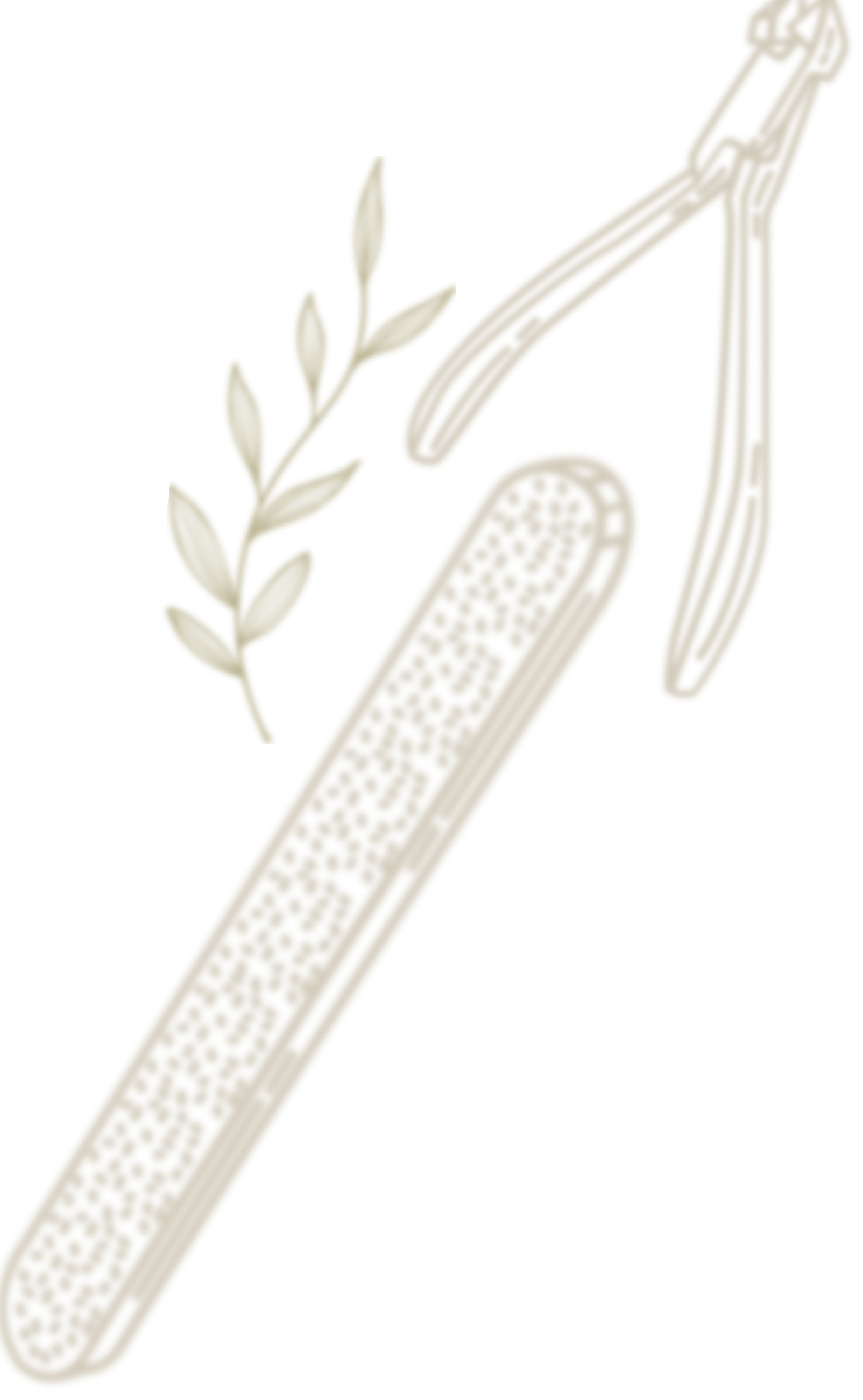 A disposable razor with a sprig of olive branches behind it, against a black background.