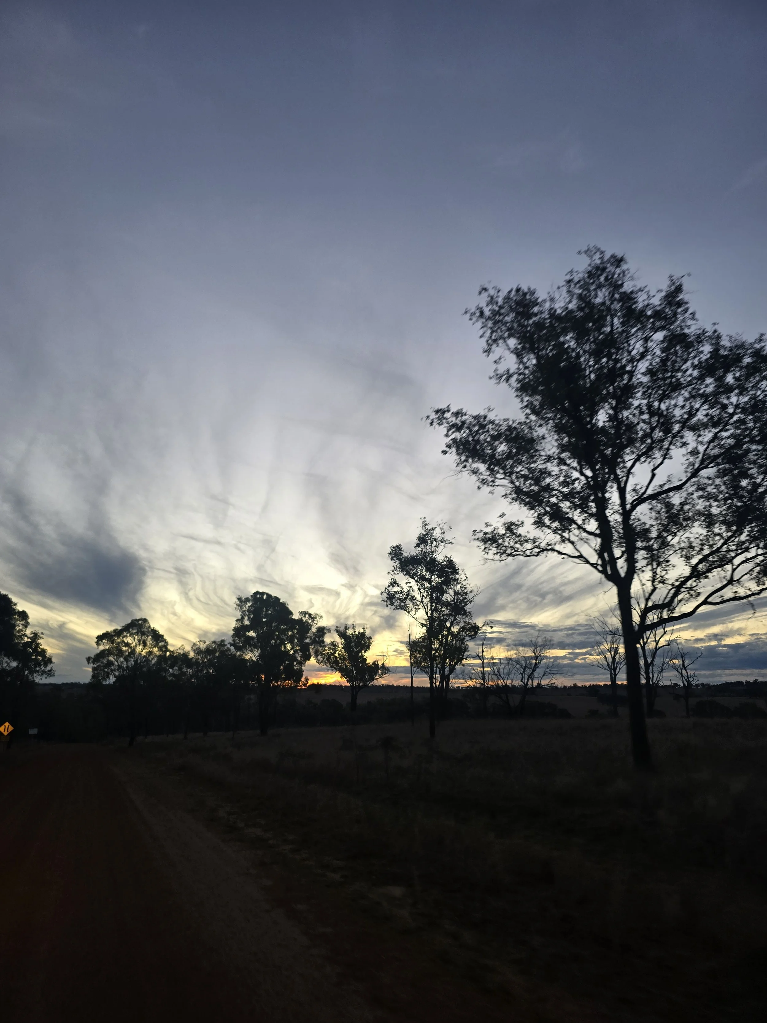 Sunset or sunrise over a rural landscape with trees and a dirt road.