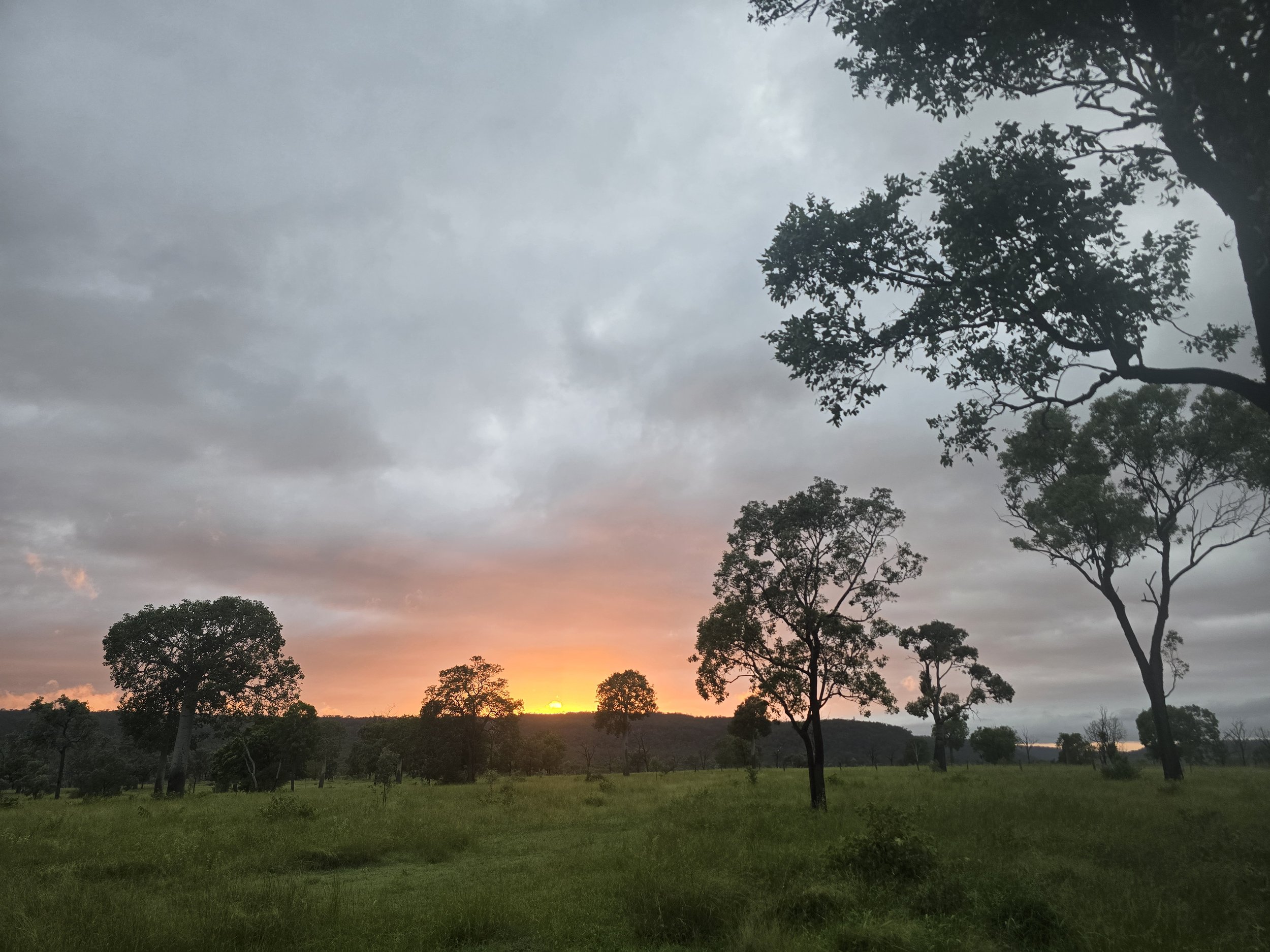 A landscape with green grass and scattered trees at sunset, with a partly cloudy sky and the sun near the horizon.
