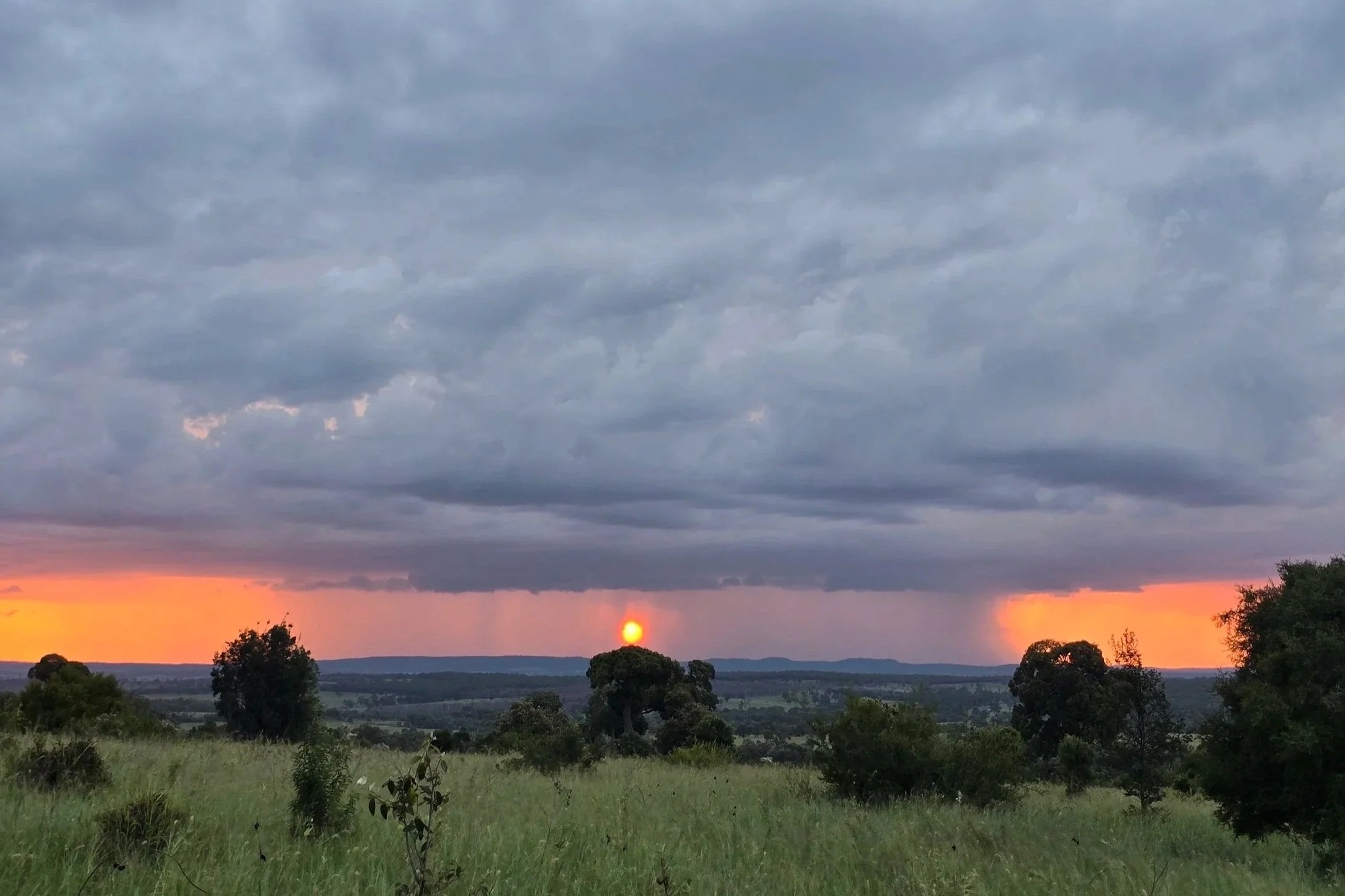 A sunset over a grassy field with trees, with dark clouds overhead and a visible sun near the horizon.