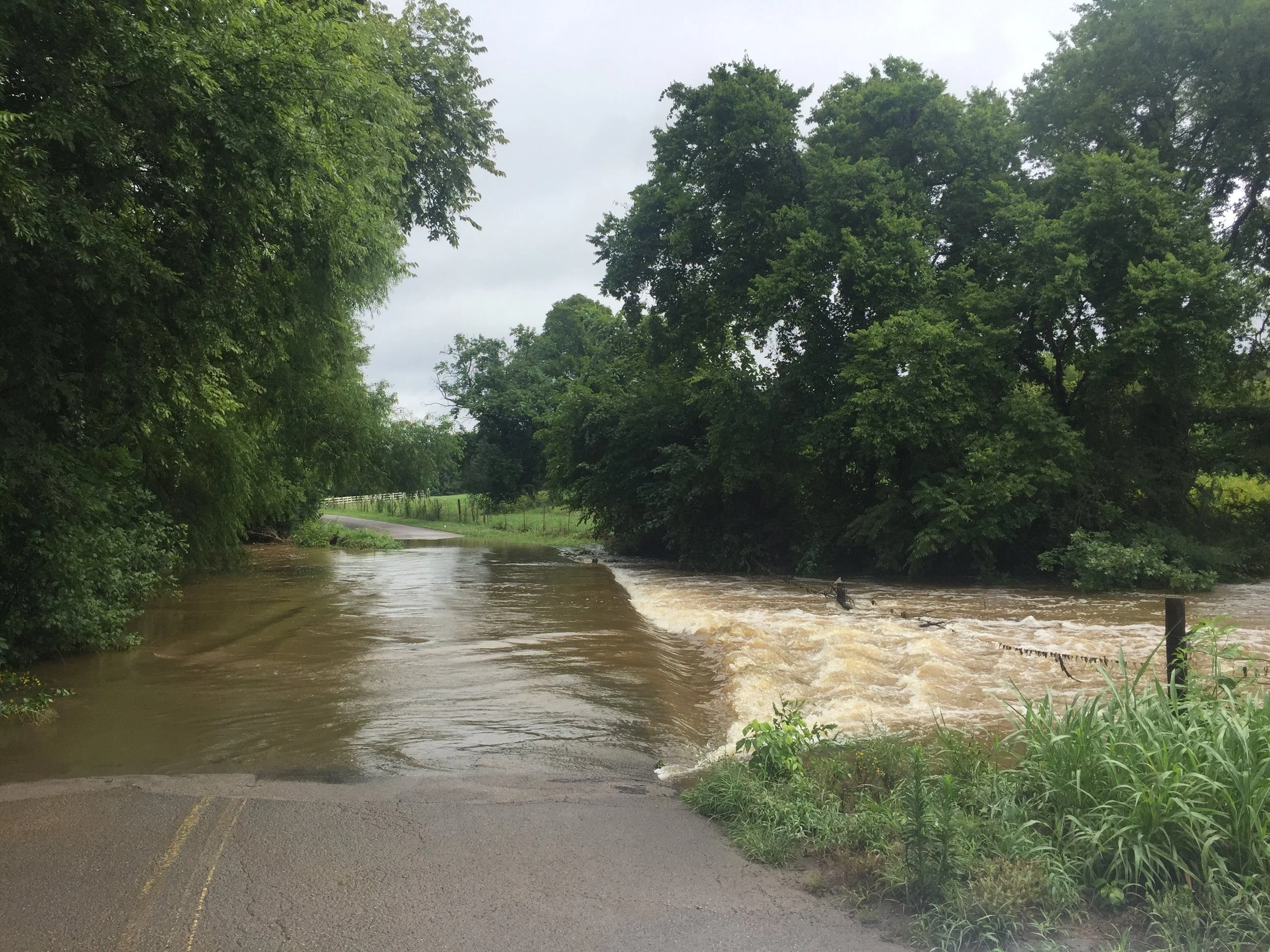 Flooded road with muddy water covering the pavement, surrounded by green trees and grass. A small part of the road is still visible with a split in the pavement, indicating it is a rural area.