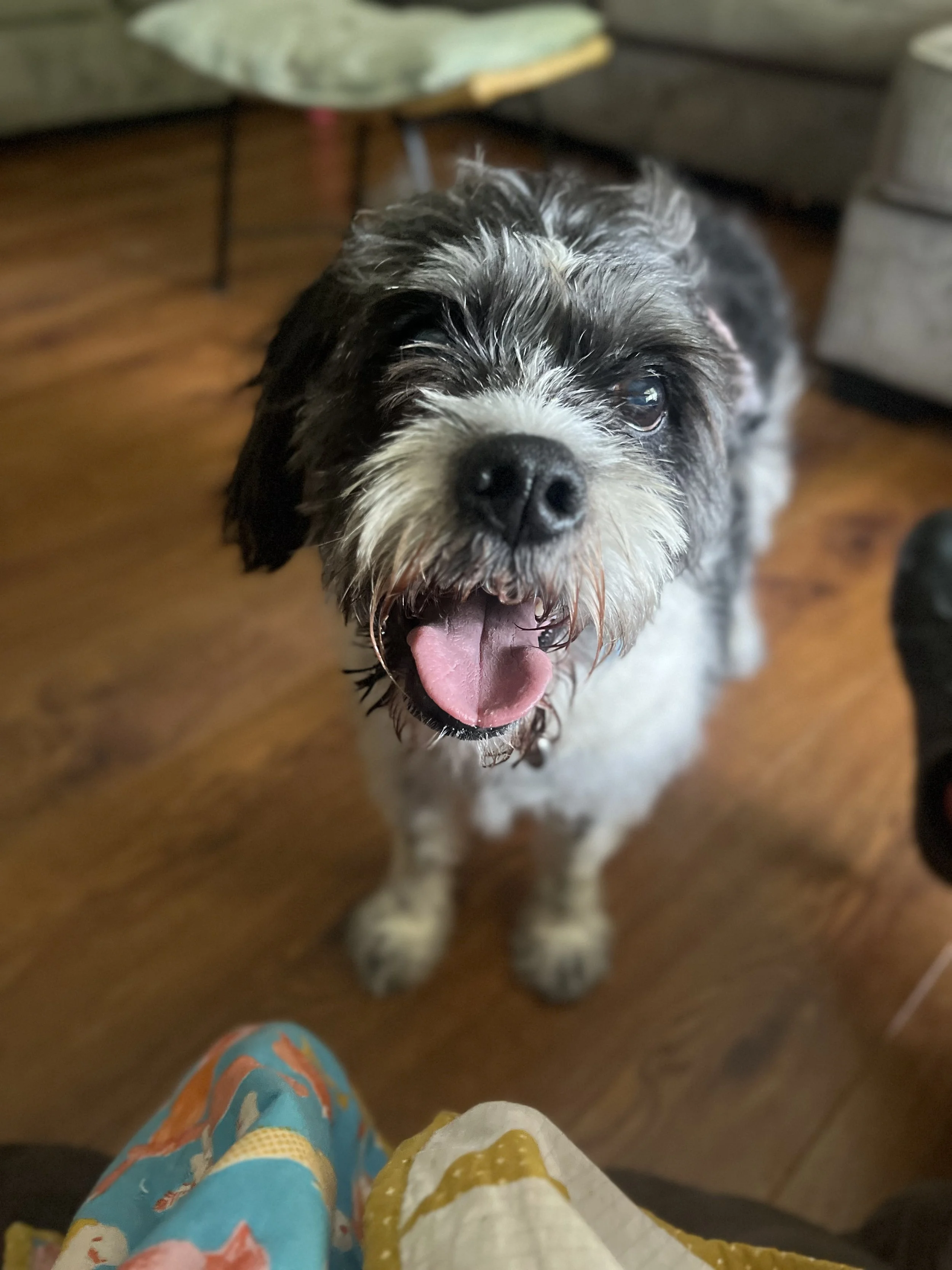 Zeus’ Story