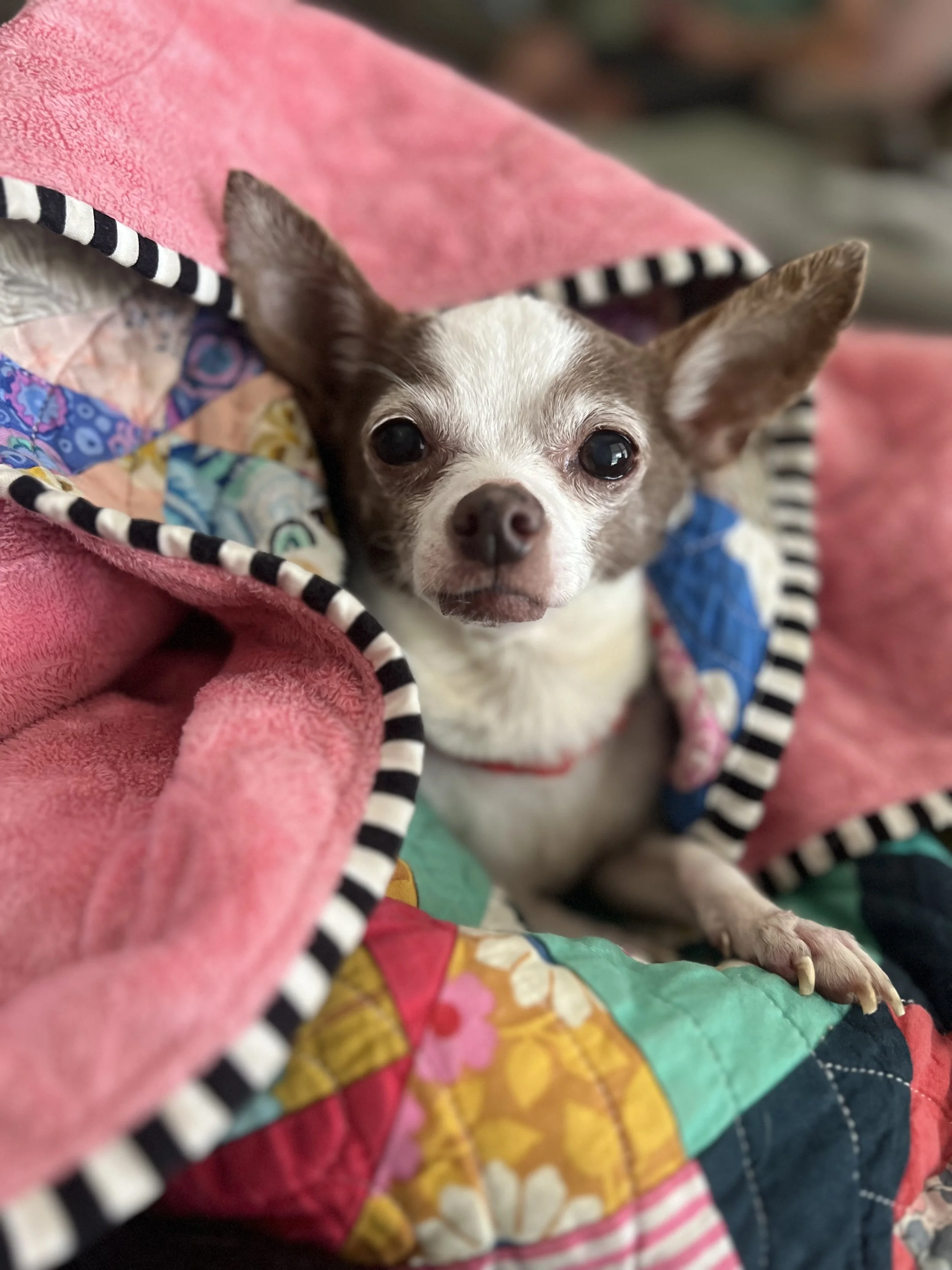 Queenie’s Story