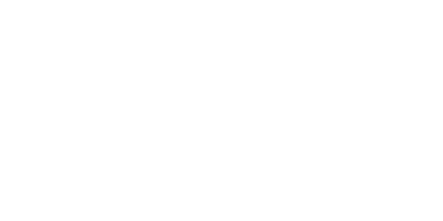 Slingshot Performance Coaching