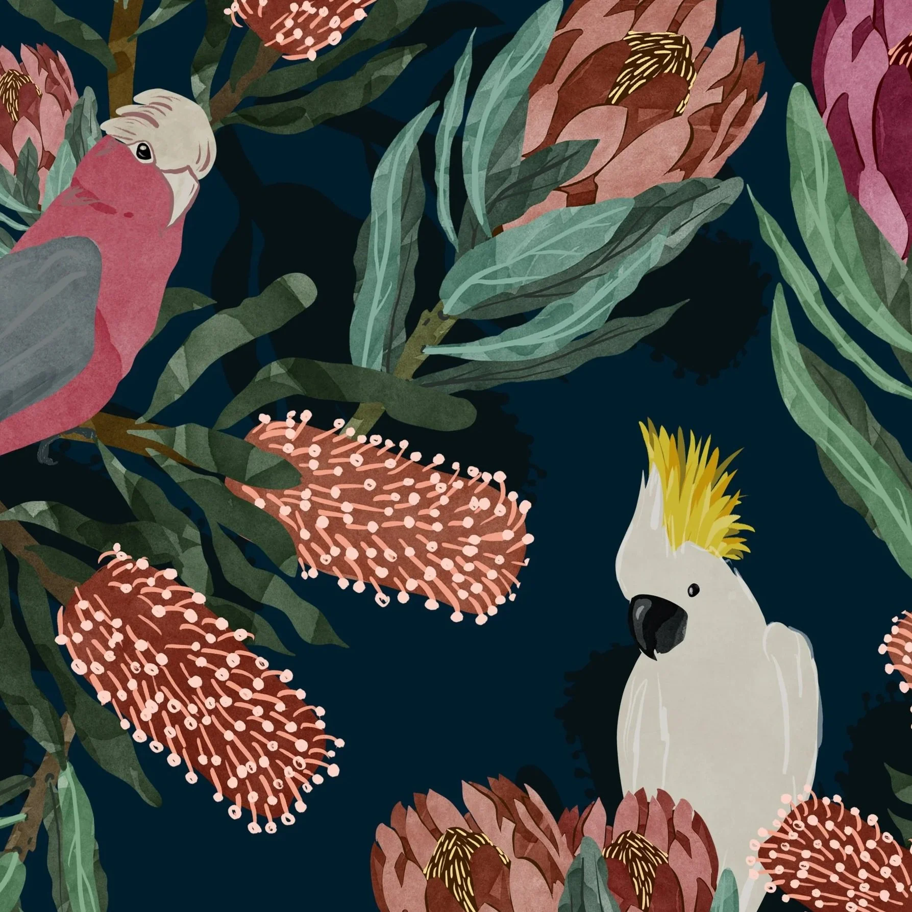 Galah parrot and white cockatoo Pattern among tropical green leaves and pink protea flowers on a dark background.