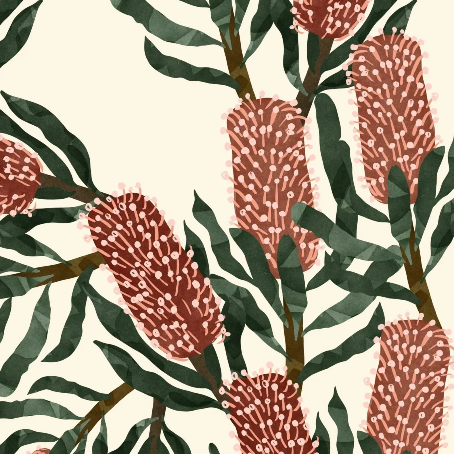 Australian Bottlebrush Pattern, available to license with co-ordinating prints in this collection from the patternbank website. 