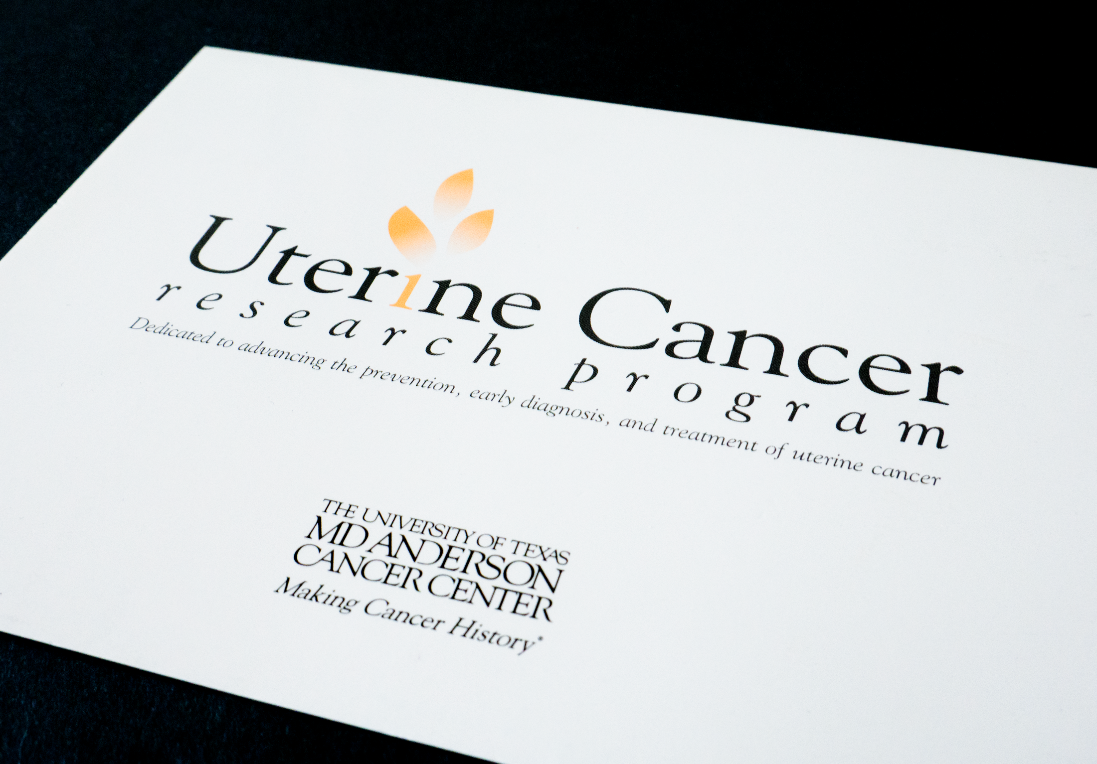 vanpelt@2024_MDA_UterineCancerBranding_Cvr.png