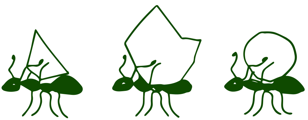 Professional development and consultation