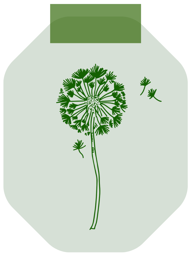 Professional Development