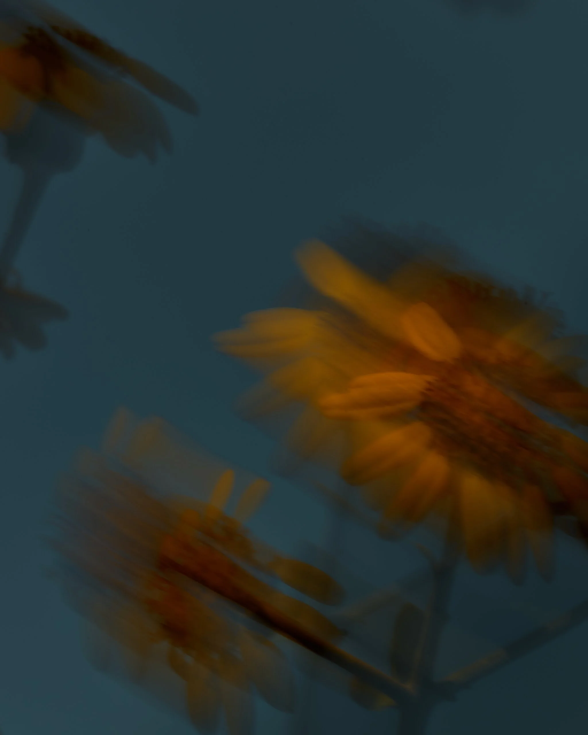 Blurred image with orange and dark colors, difficult to discern specific objects or details.