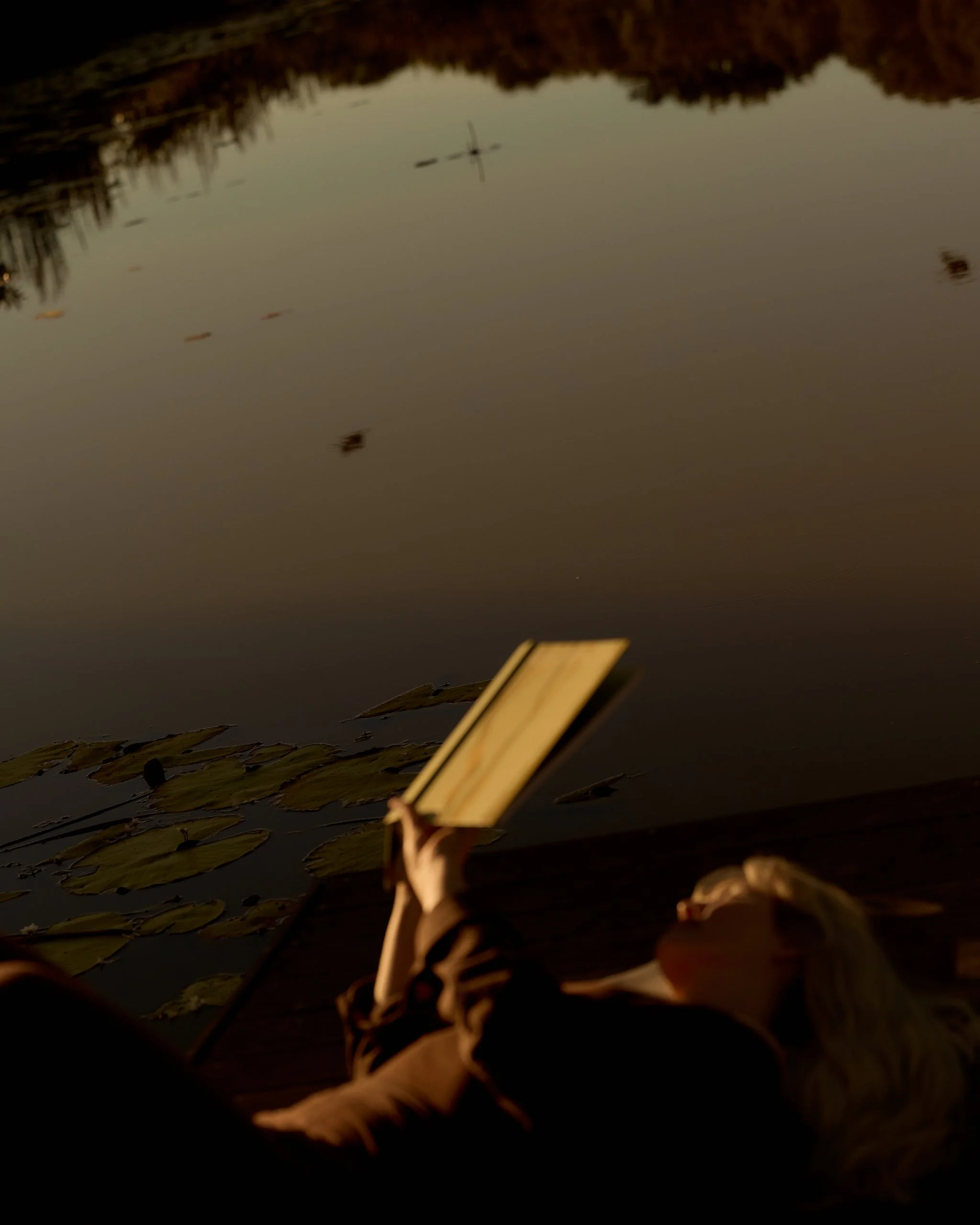 A lake with floating lily pads and a faint reflection of trees on the water, taken during sunset or early evening.