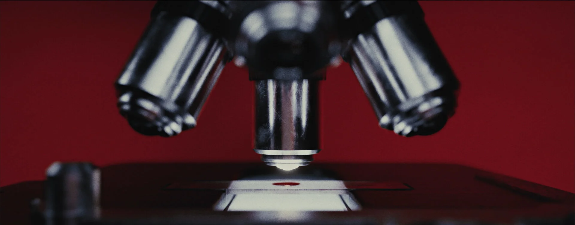 FOXCRIME_ID_30_01_CAVE.00_00_10_18.Still007 copy.jpg