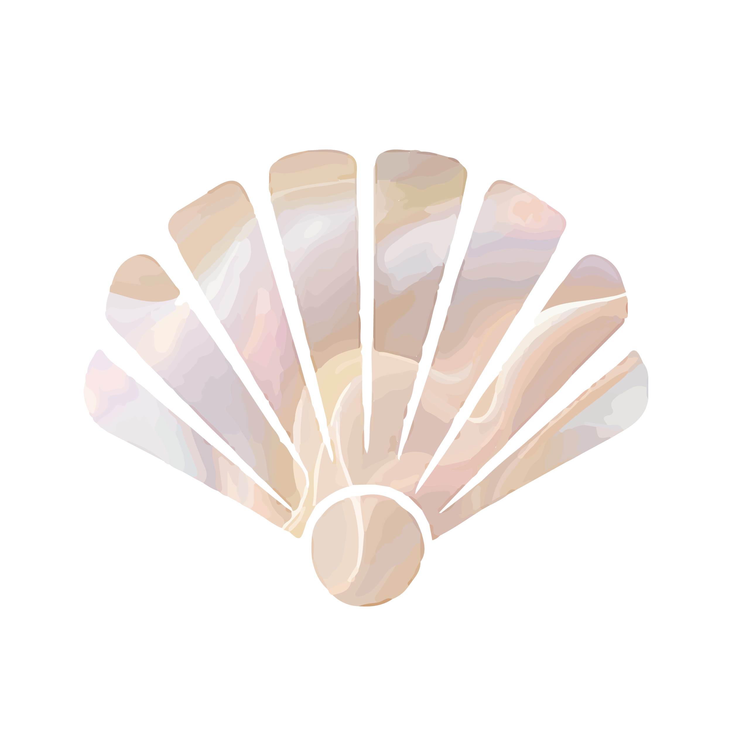 Colorful Shell