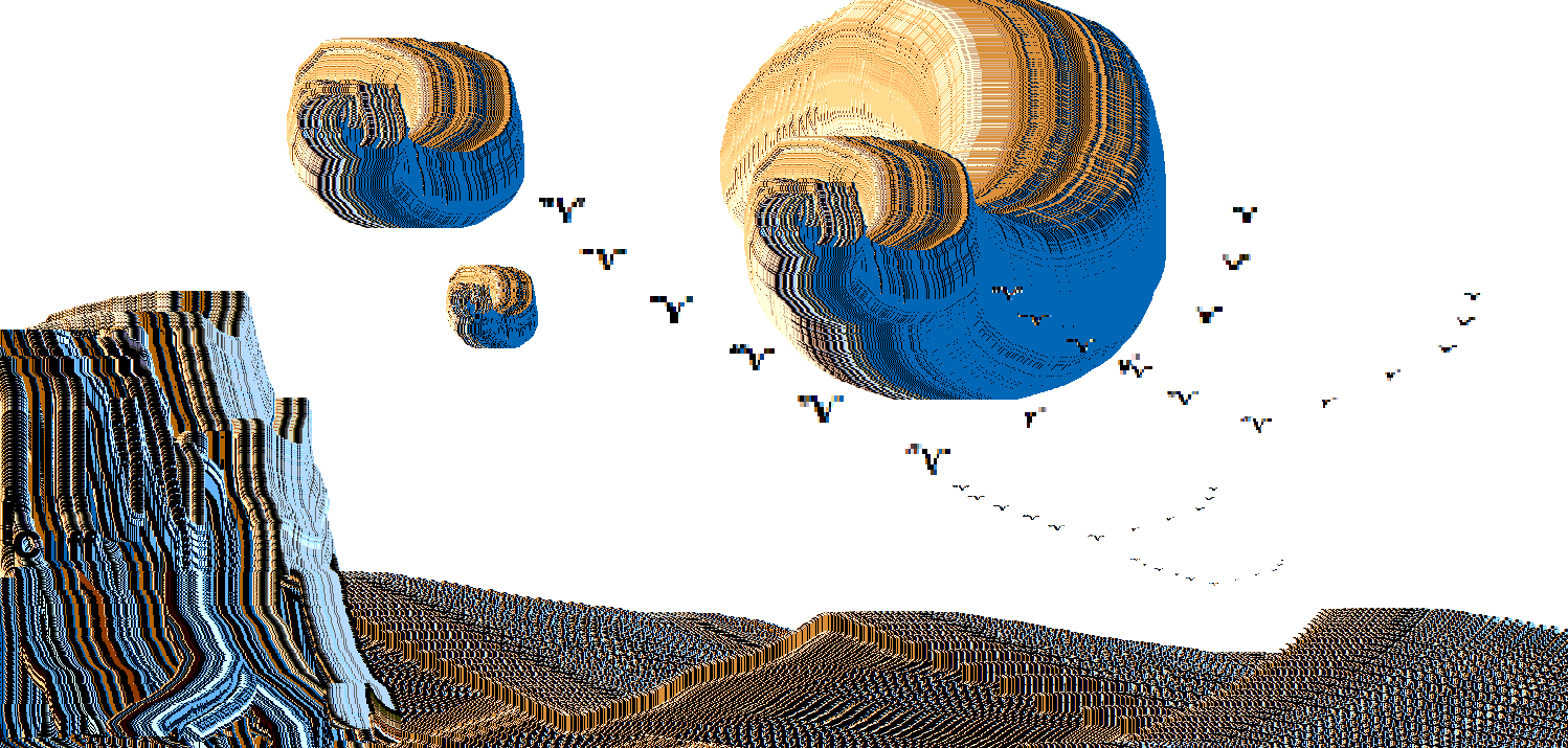 birds.png