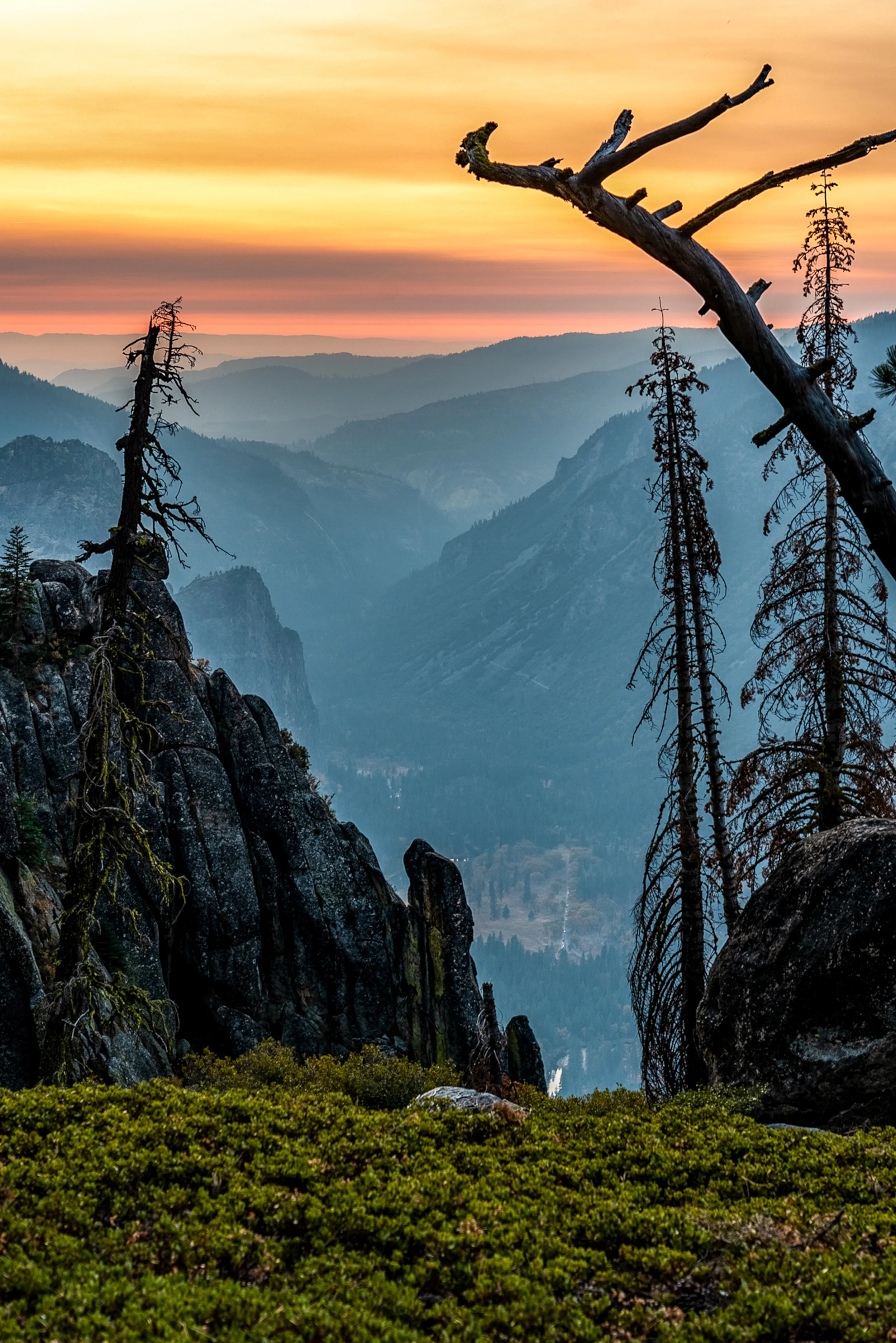 High Sierra Sentinel 
A sun-bleached snag stands as a silent witness to the fading light over the layered ridges of Yosemite.