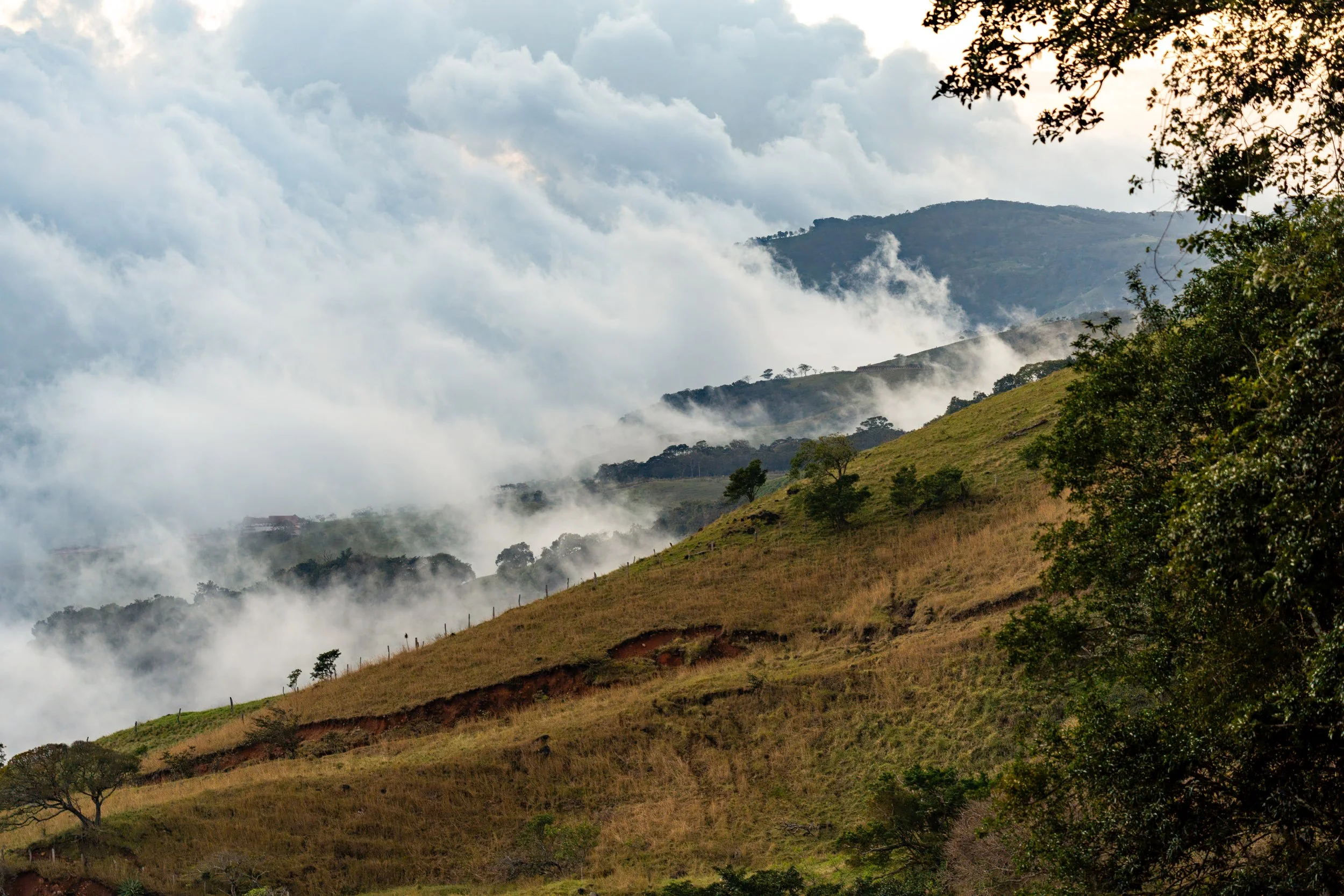 The Highland Trail
A winding path through the lush, mist-covered mountains of Costa Rica.