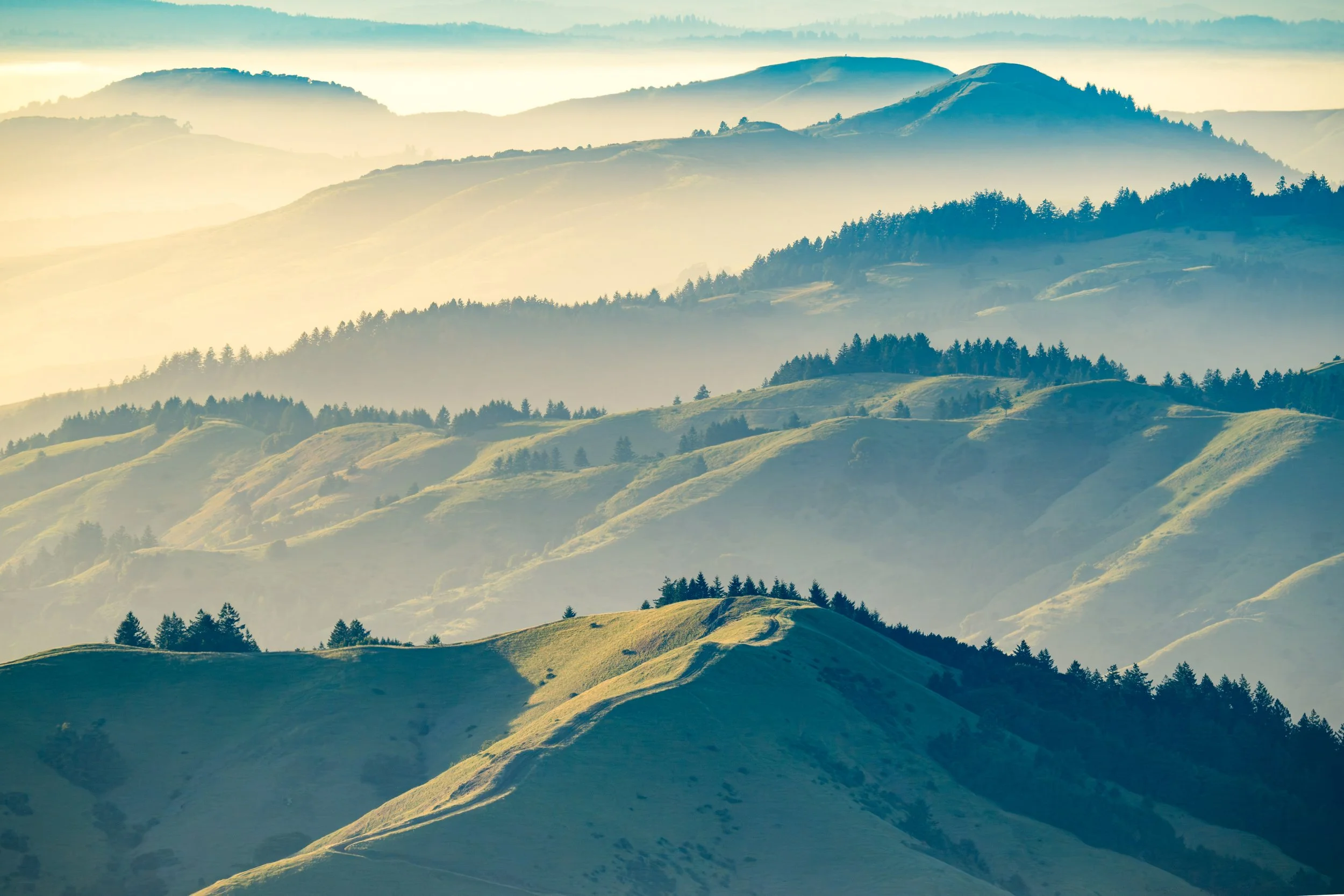 mt tam-2.jpg
