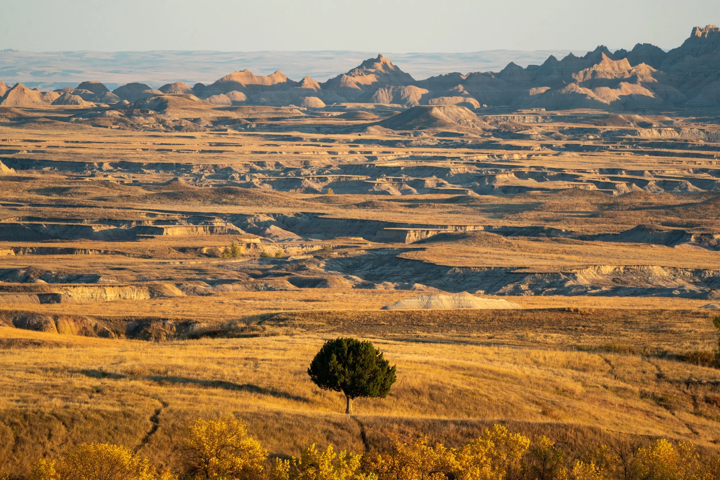 Badlands Sunset
A final look at the rugged badlands of South Dakota. The soft, evening light catches the ridges of the crumbly soil, highlighting the various mineral layers that create the colorful, striped appearance of this unique prairie landscape