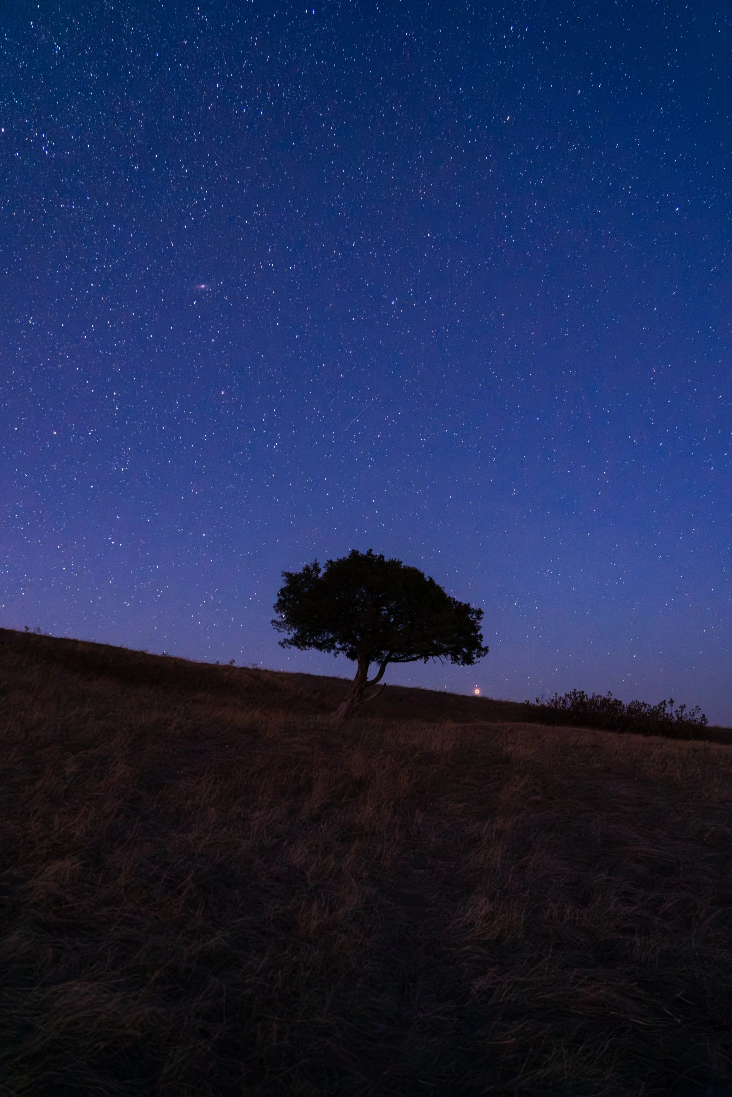 Under the Canopy
A solitary tree stands against a deep indigo sky, illuminated by a vast field of stars. This long-exposure shot captures the quiet stillness of the night, highlighting the silhouette of the tree as it reaches toward the cosmos. It’s 