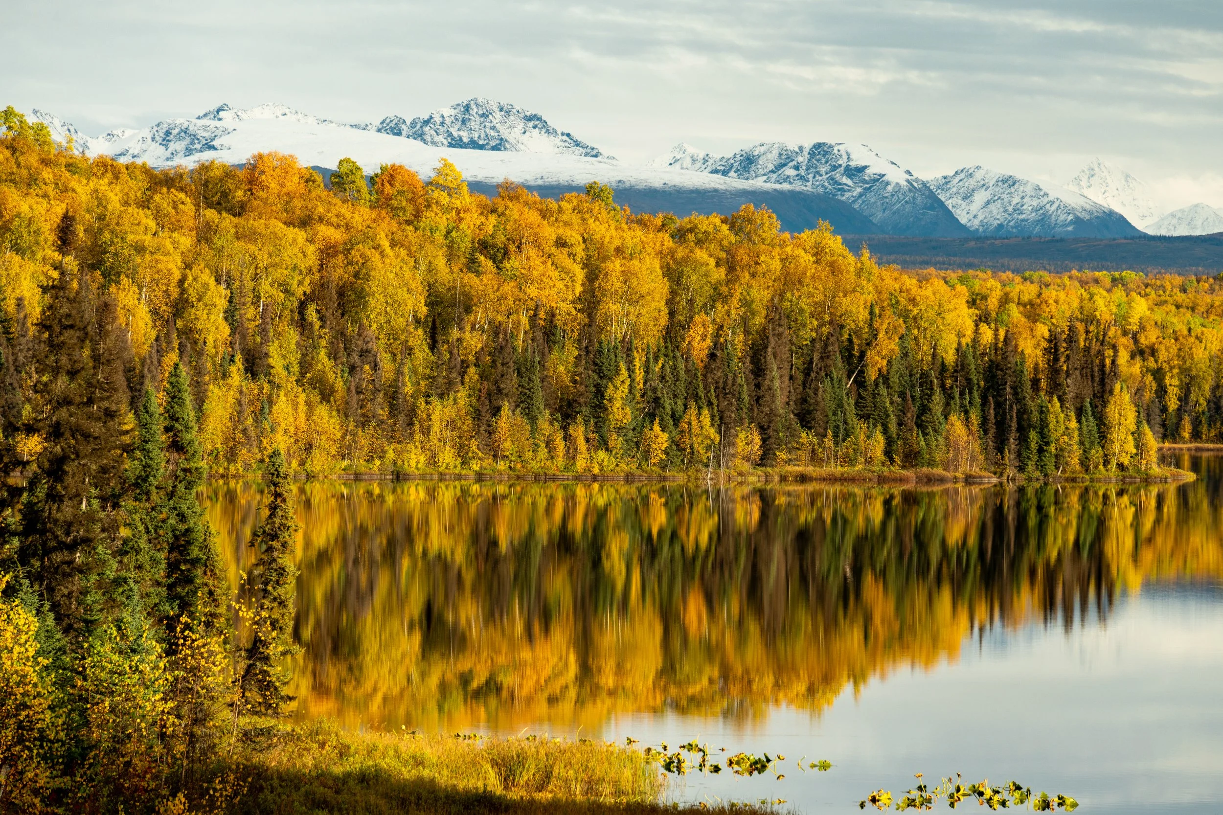 Echoes of Autumn
A tighter composition of the shoreline, focusing on the interplay of light and shadow across the turning leaves. The soft ripples in the water gently distort the reflection, adding a painterly quality to the scene. This image capture