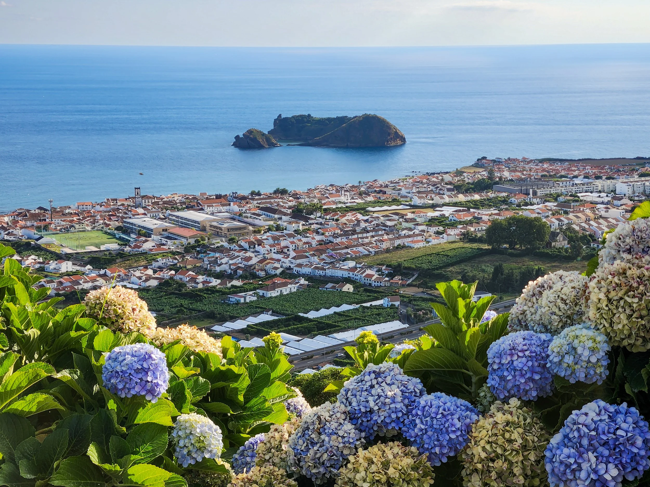 Blue Summer in the Azores
A classic Azorean vista from the heights of São Miguel, where the island’s signature blue hydrangeas frame the Atlantic horizon. Below lies Vila Franca do Campo, the island's former capital, and its famous volcanic islet. Th