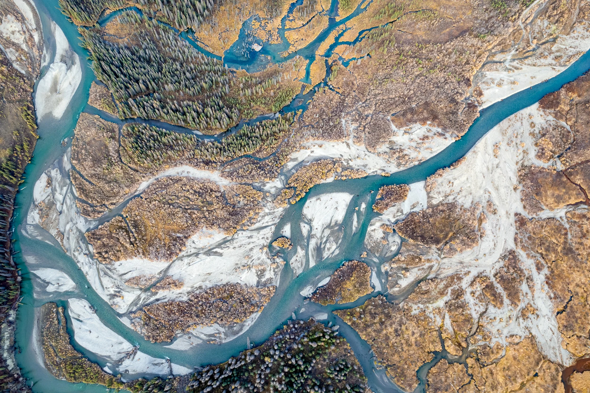 Alaskan Braided River
An abstract aerial study of a braided river system in Alaska. The silty, glacial meltwater carves ever-changing paths through the gravel flats, creating a complex web of silver and blue threads. This natural "fractal" pattern is