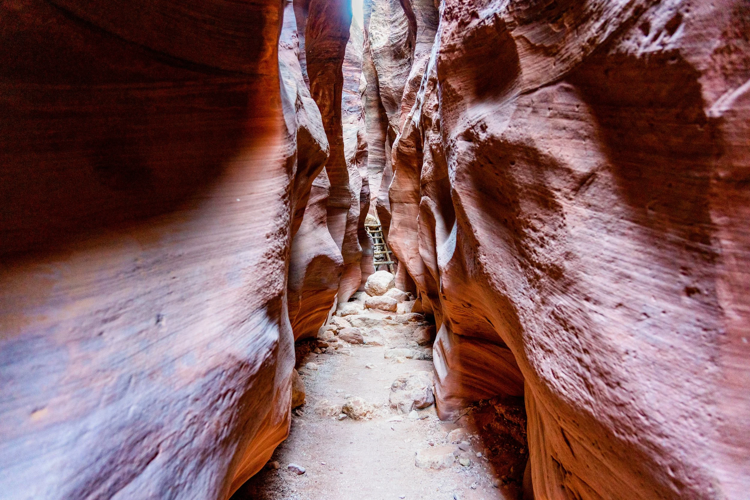 The Zebra Slot Canyon
A perspective from deep inside a Utah slot canyon. The wind-swept, undulating walls create a rhythmic pattern of lines and shadows, leading the viewer through the narrow, sandy floor into the heart of the desert.