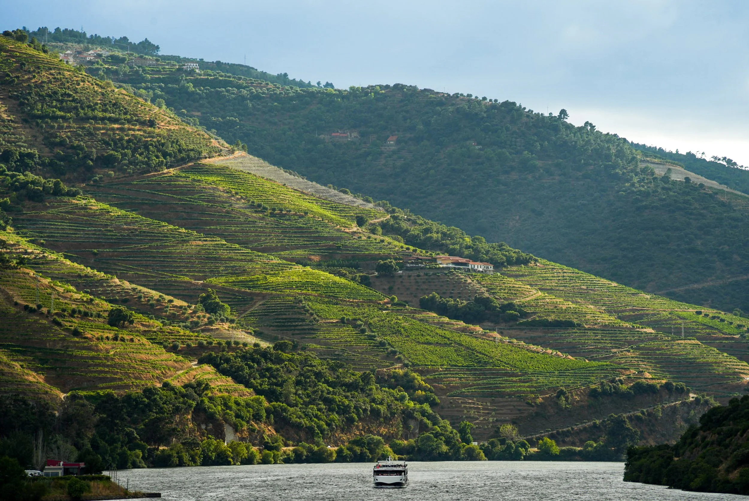 The Douro Terraces
Century-old vineyards carved into the steep, sun-drenched mountainsides of Portugal.