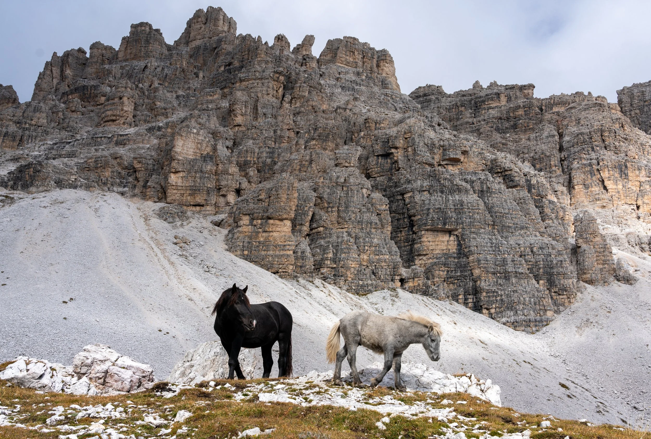 Tre Cime Circuit 
The rugged, high-altitude trail that skirts the base of the most famous limestone towers in the Alps.