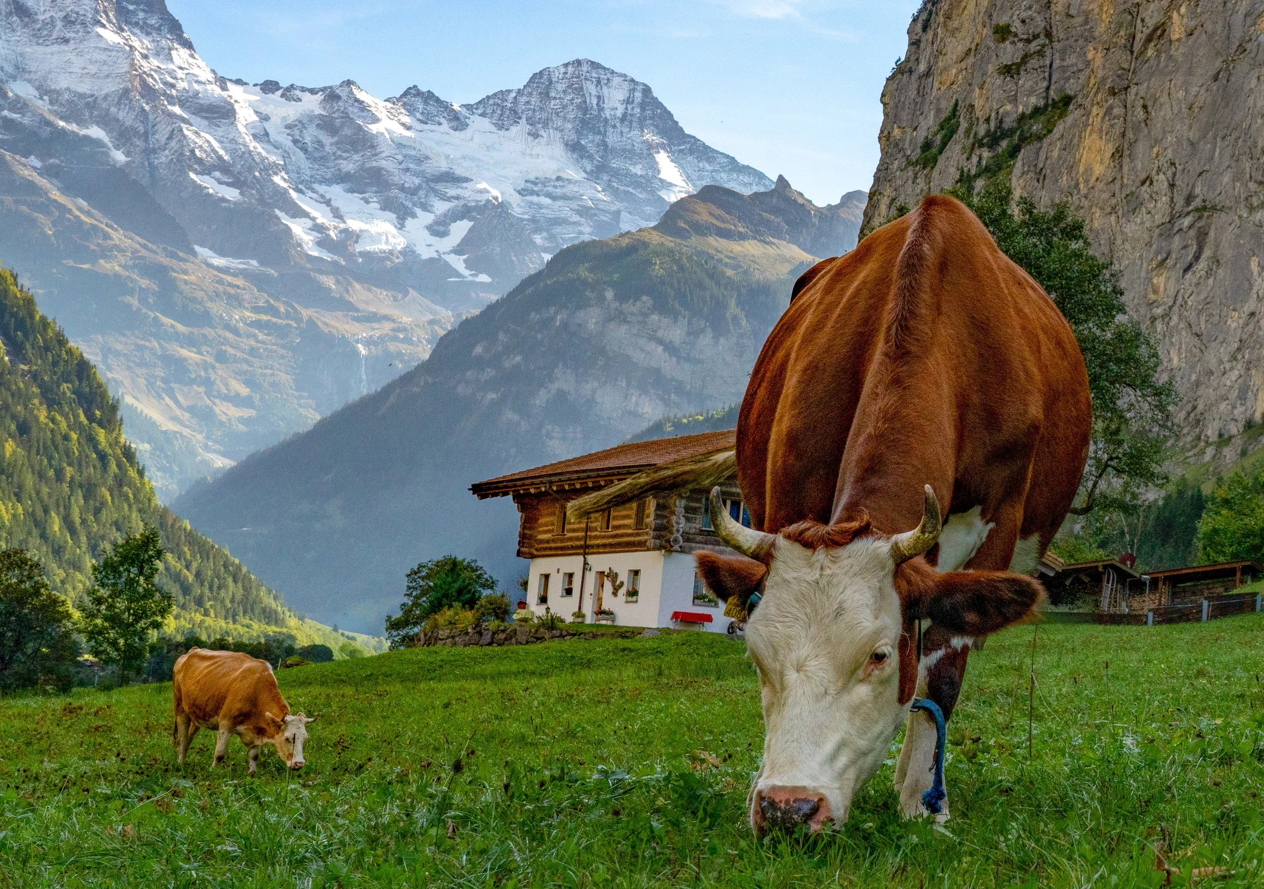 Lauterbrunnen
The sheer, vertical scale of the Swiss Alps, where dozens of waterfalls spill into the lush valley floor.