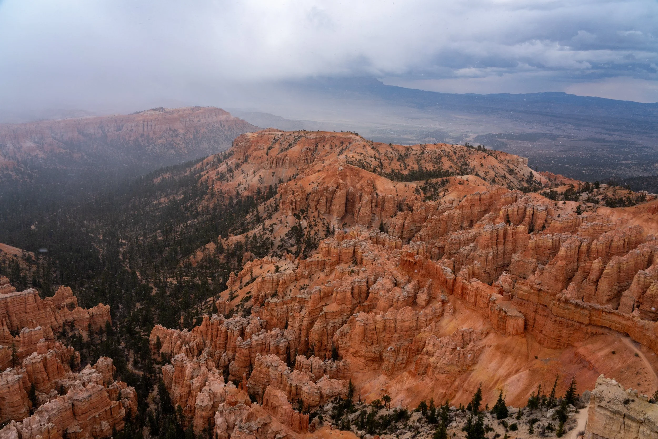 The Canyon Amphitheater
An expansive view across the main amphitheater of Bryce Canyon. Thousands of delicate hoodoos stand packed together like a terracotta army, showcasing the incredible erosive power of frost and rainwater on the Paunsaugunt Plat