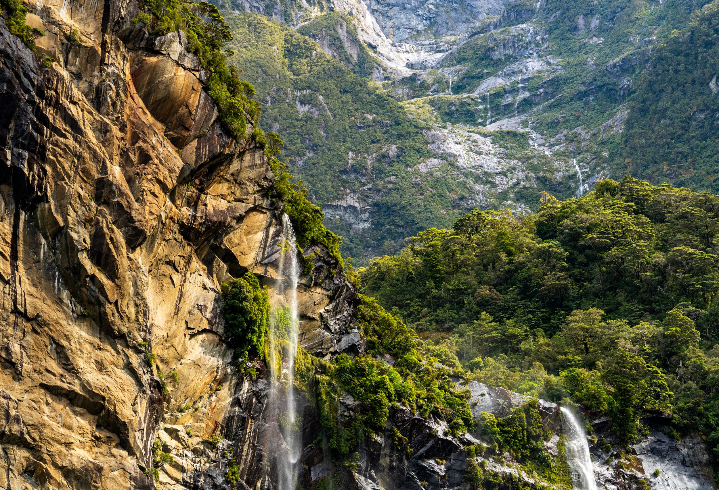The Milford Corridor
A winding journey through the ancient beech forests and towering stone walls of the Milford road.