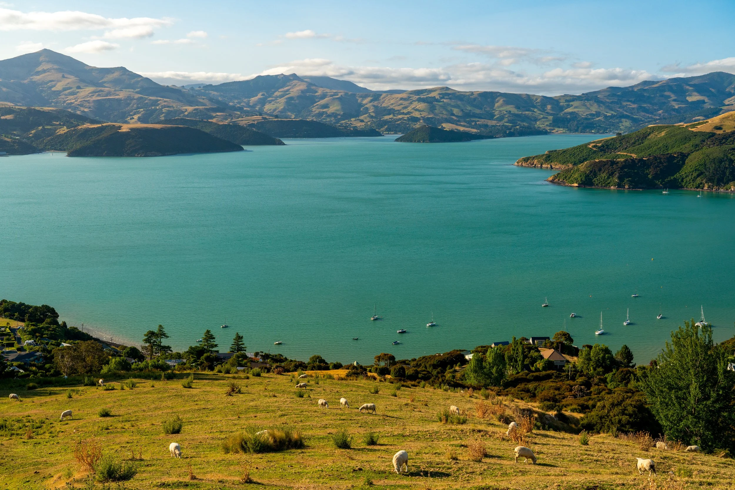 Wanaka Panorama
A wide, sweeping view of Lake Wanaka’s turquoise waters, with the emerald hills of Glendhu Bay giving way to the snow-capped Southern Alps.