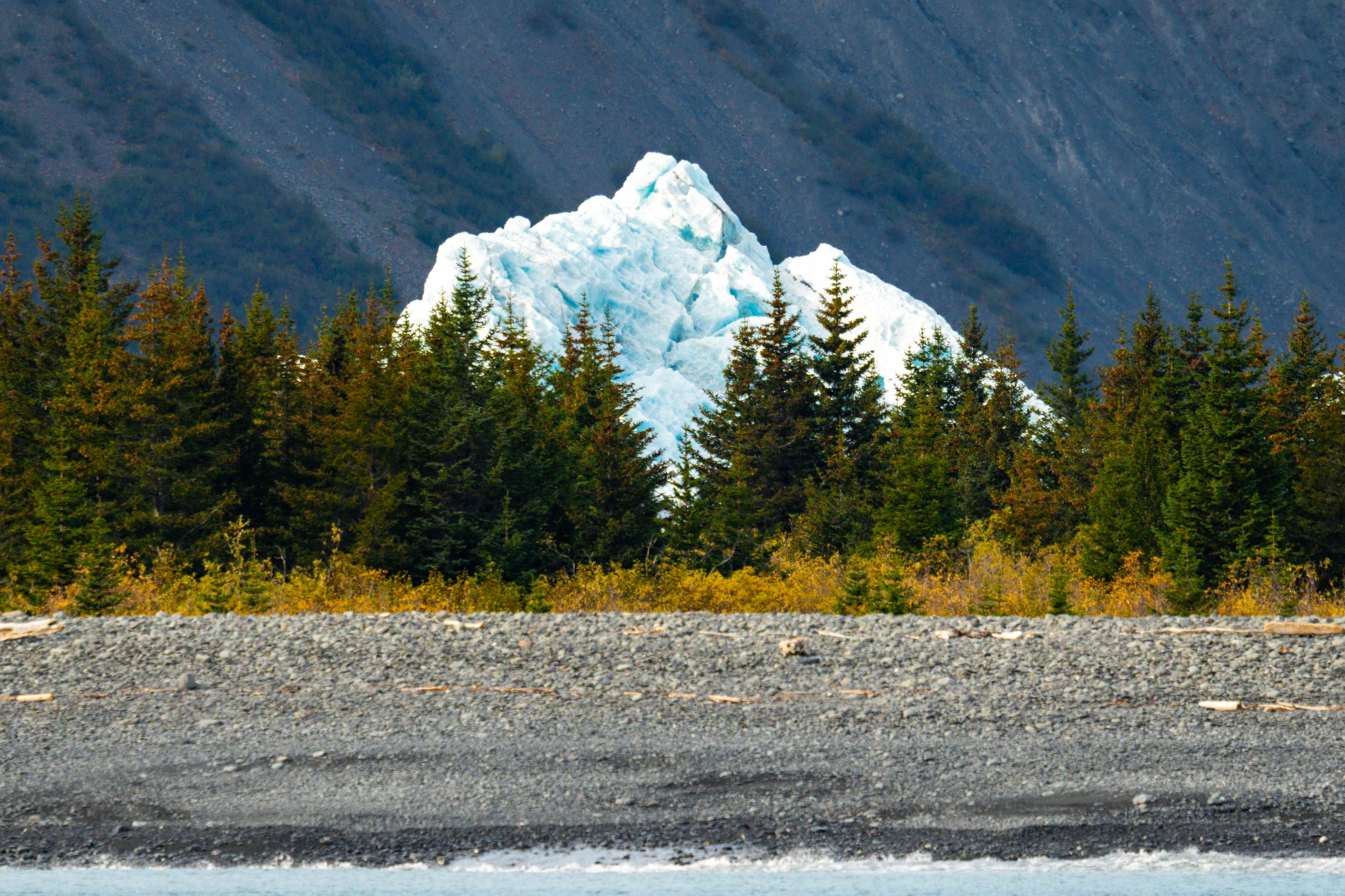 The Heights of Kenai
A massive tidewater glacier looms over the dense spruce forests of Kenai Fjords National Park. This rugged Alaskan wilderness is where the ice age still lingers, as dozens of glaciers pour down from the Harding Icefield into the 